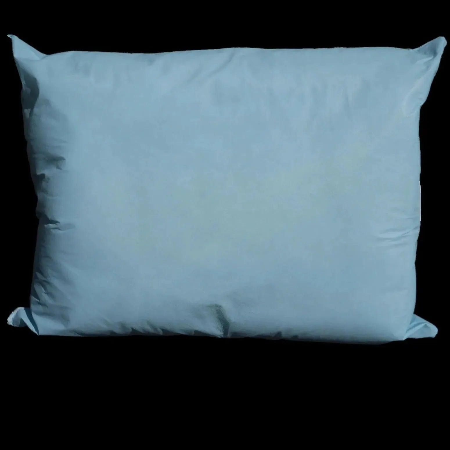 BTR Collection Reusable Healthcare Pillow 2 PK - PRHOMZ