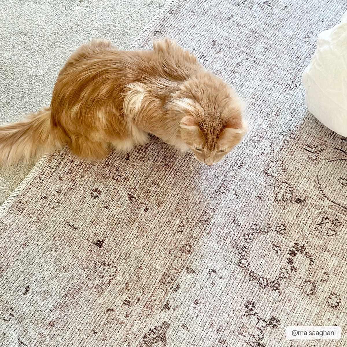 Bethany Washable Area Rug - PRHOMZ