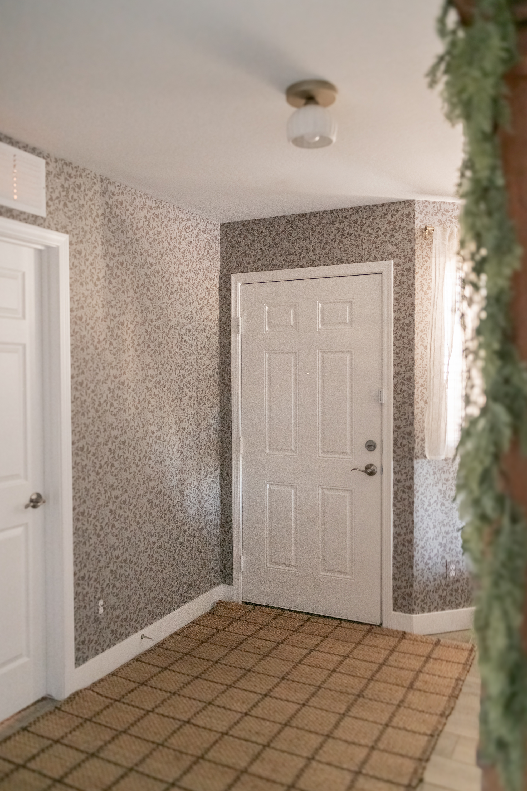 Cooper Wallpaper by Taddy Mikelaites