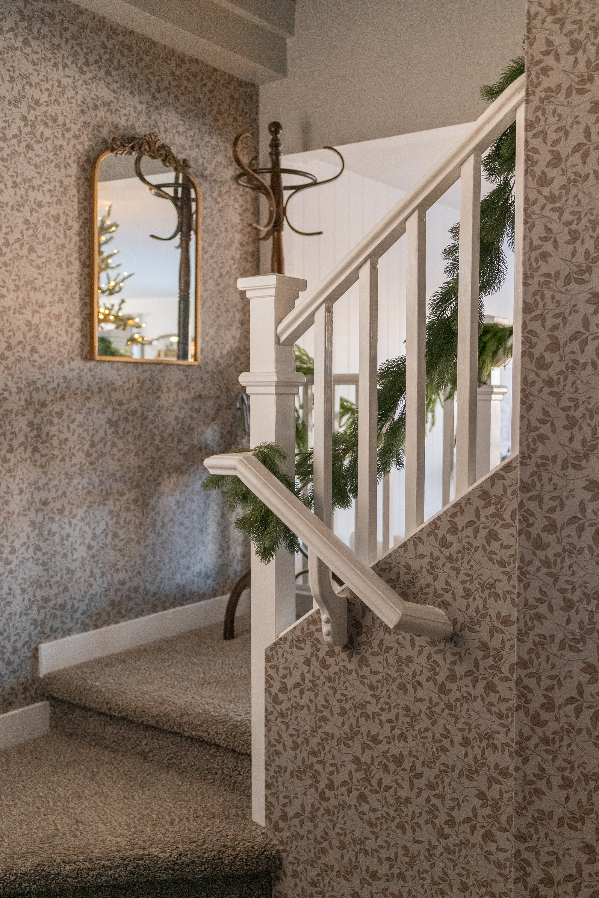 Cooper Wallpaper by Taddy Mikelaites