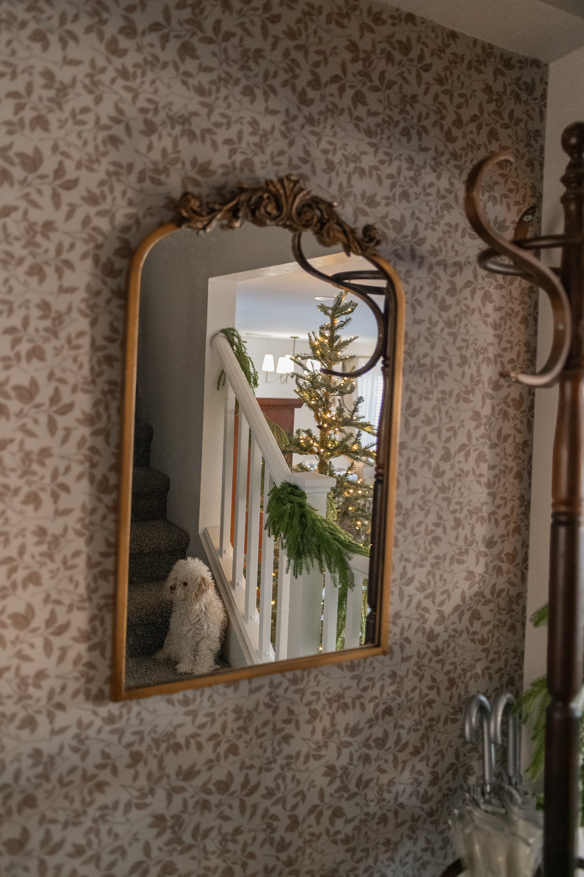 Cooper Wallpaper by Taddy Mikelaites