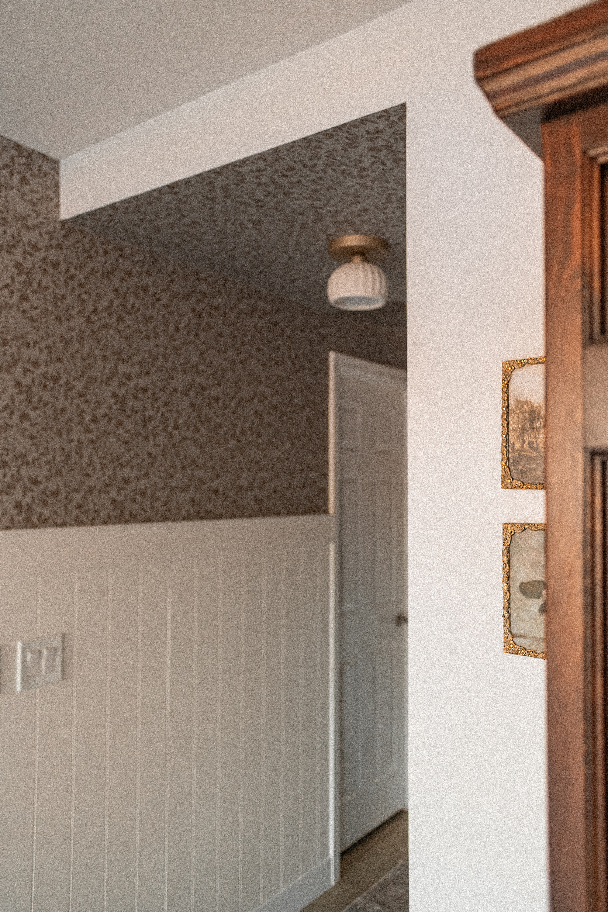 Cooper Wallpaper by Taddy Mikelaites