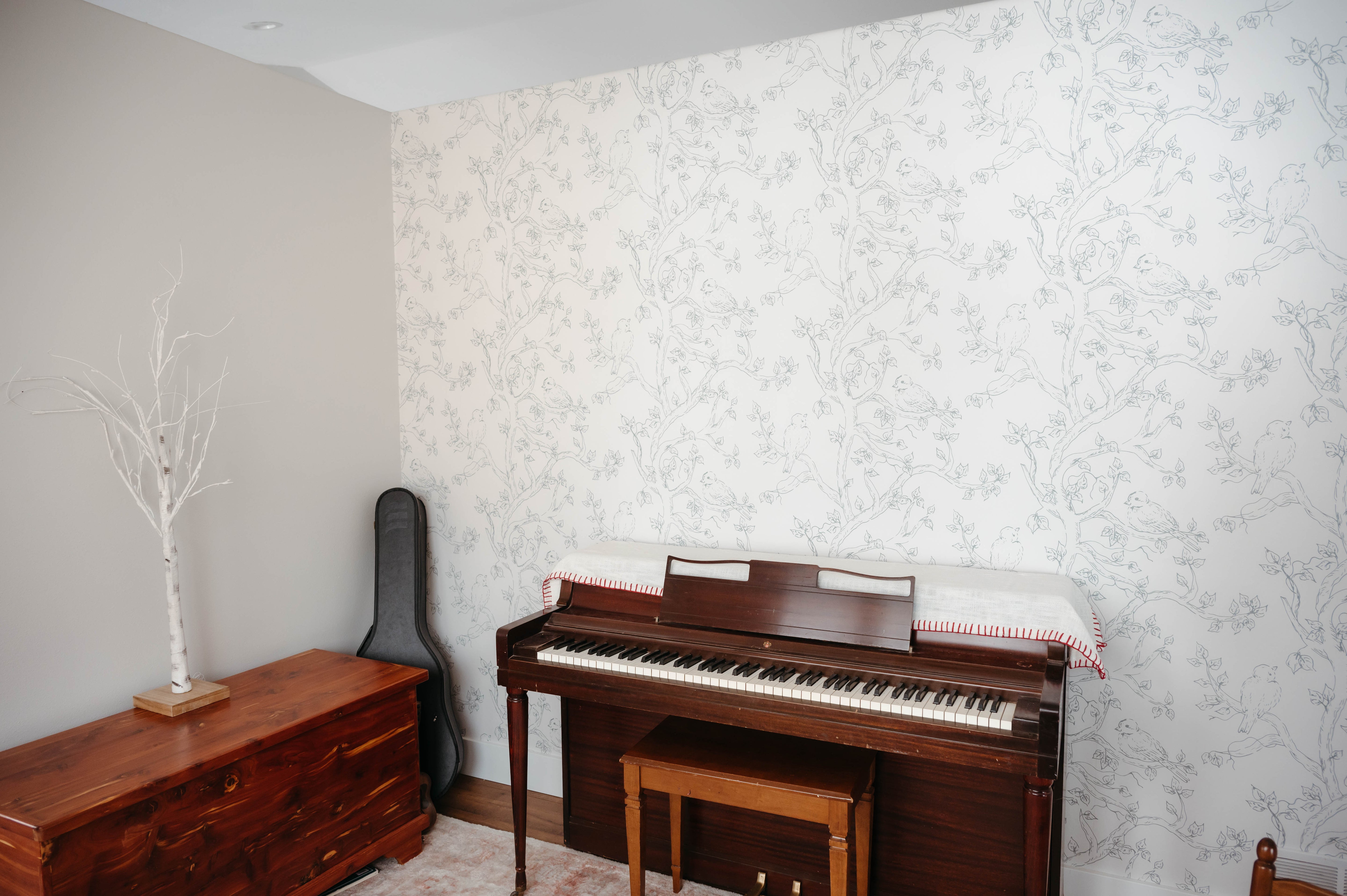 Ruby Wallpaper by Ali Anni