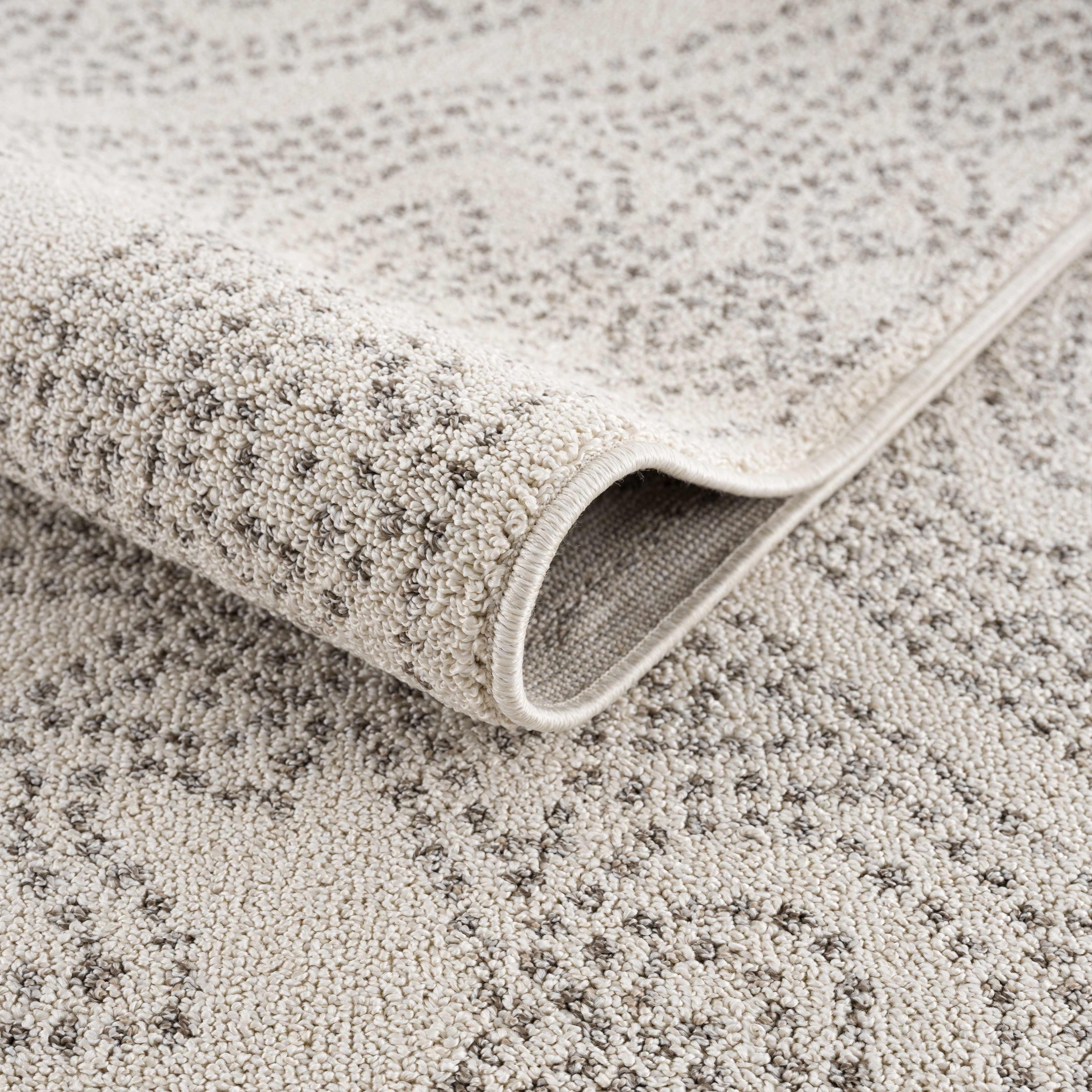 Birdwood Cream & Brown Area Rug - PRHOMZ