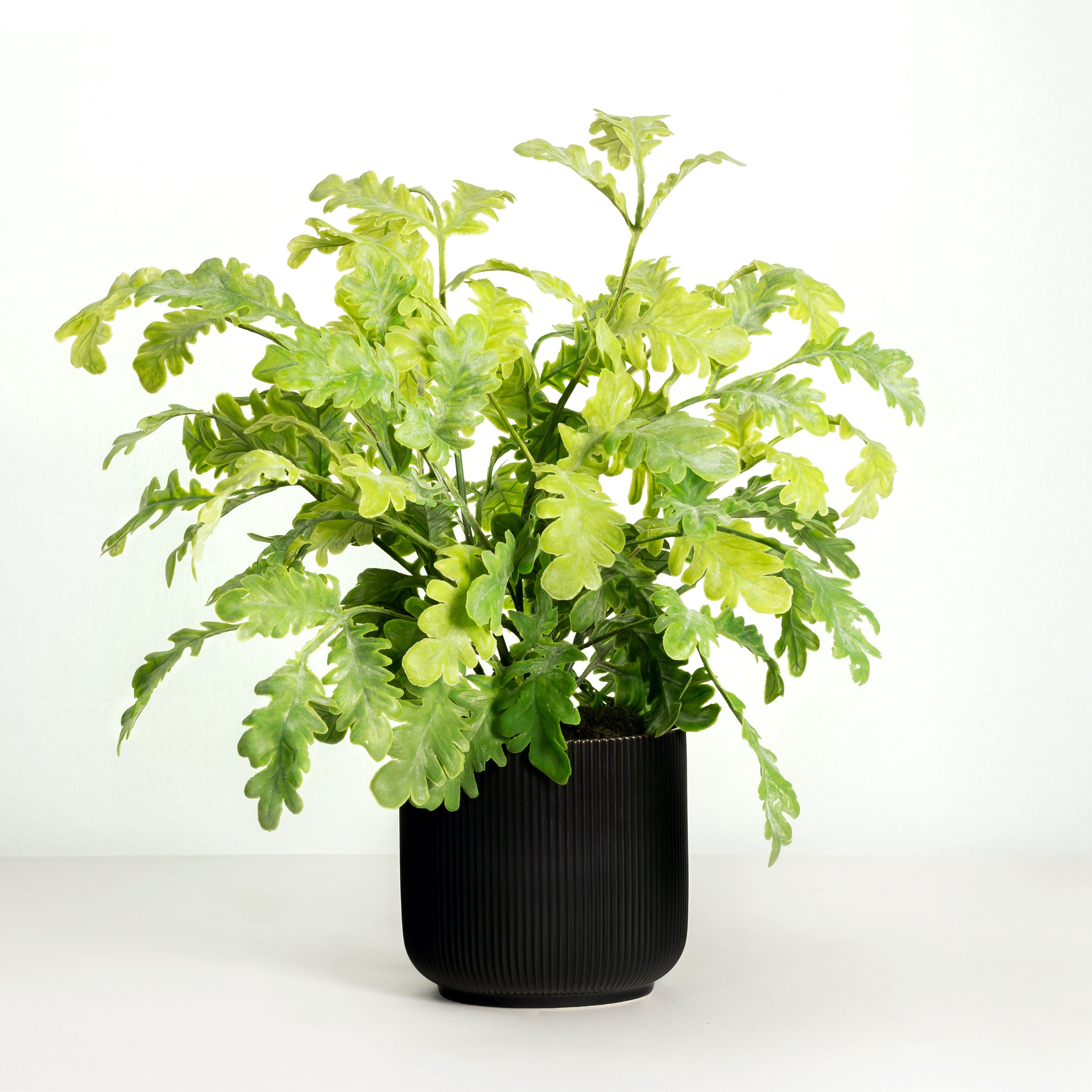 Real-touch artificial plant in modern black planter - 19"-0