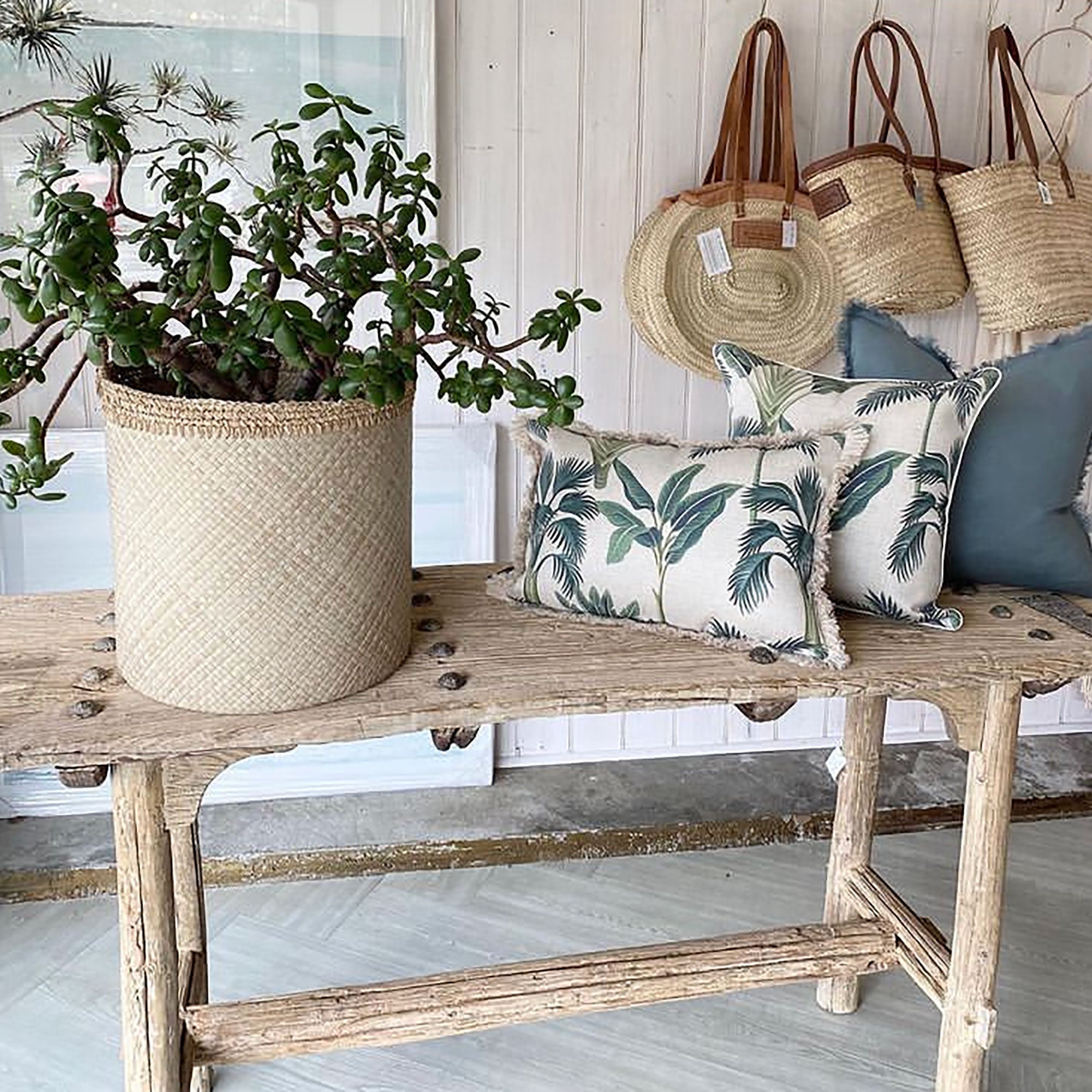 Cushion Cover-With Piping-Del Coco-45cm x 45cm-2