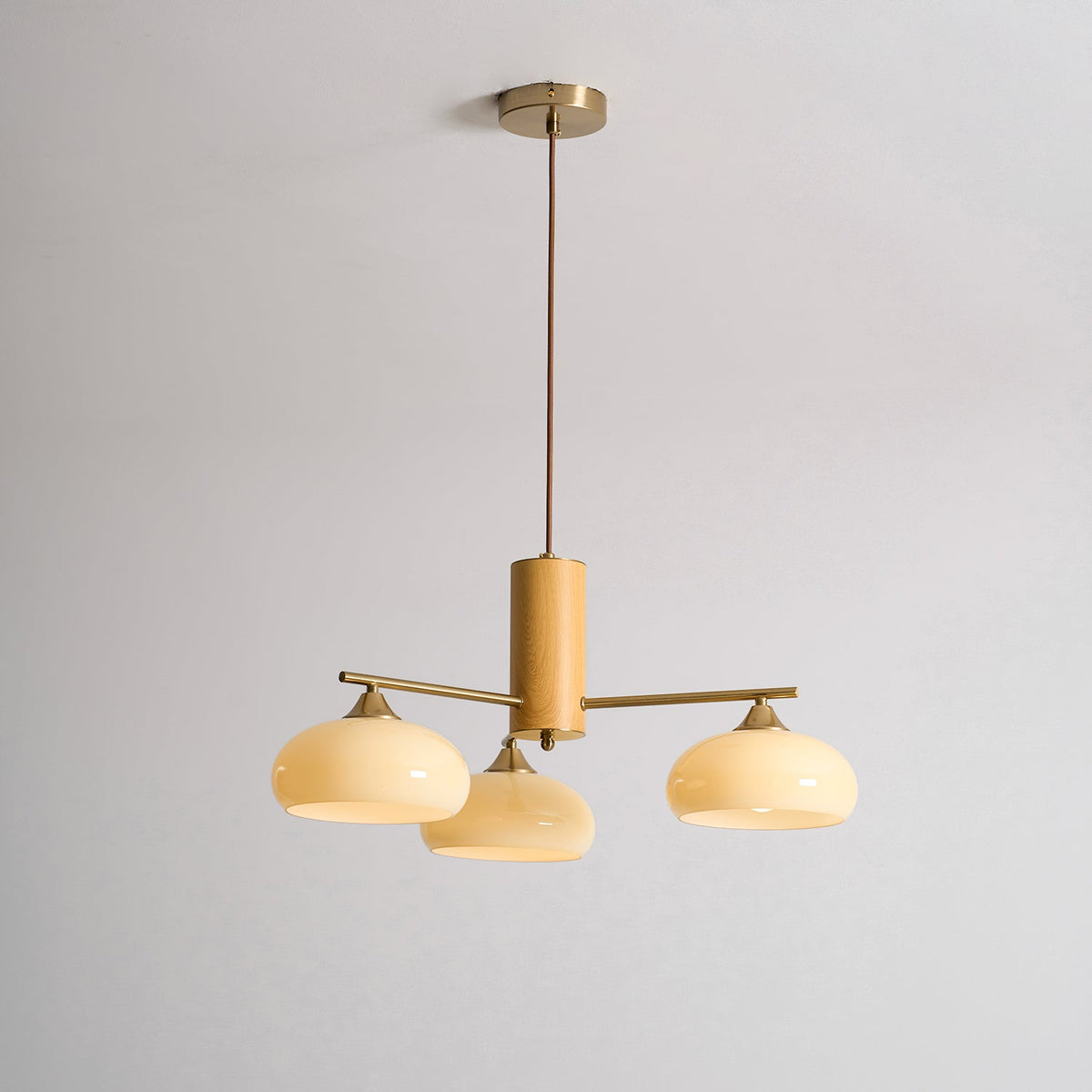 Elliptical Glass Globe Chandelier with Brass Arms | Dining Table Light Fixture