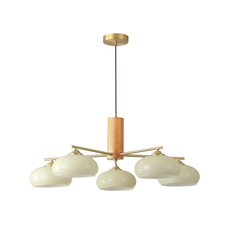 Elliptical Glass Globe Chandelier with Brass Arms | Dining Table Light Fixture