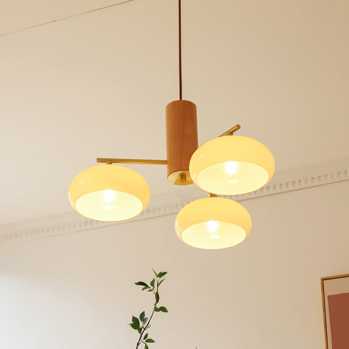 Elliptical Glass Globe Chandelier with Brass Arms | Dining Table Light Fixture
