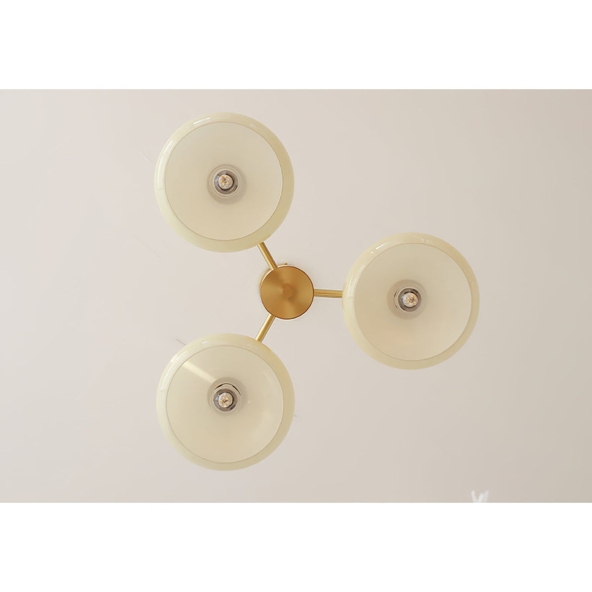 Elliptical Glass Globe Chandelier with Brass Arms | Dining Table Light Fixture