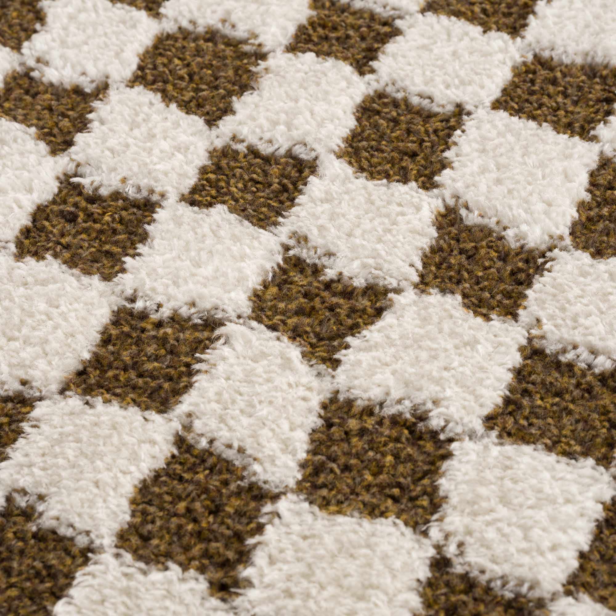 Leryn Brown Checkered Plush Rug