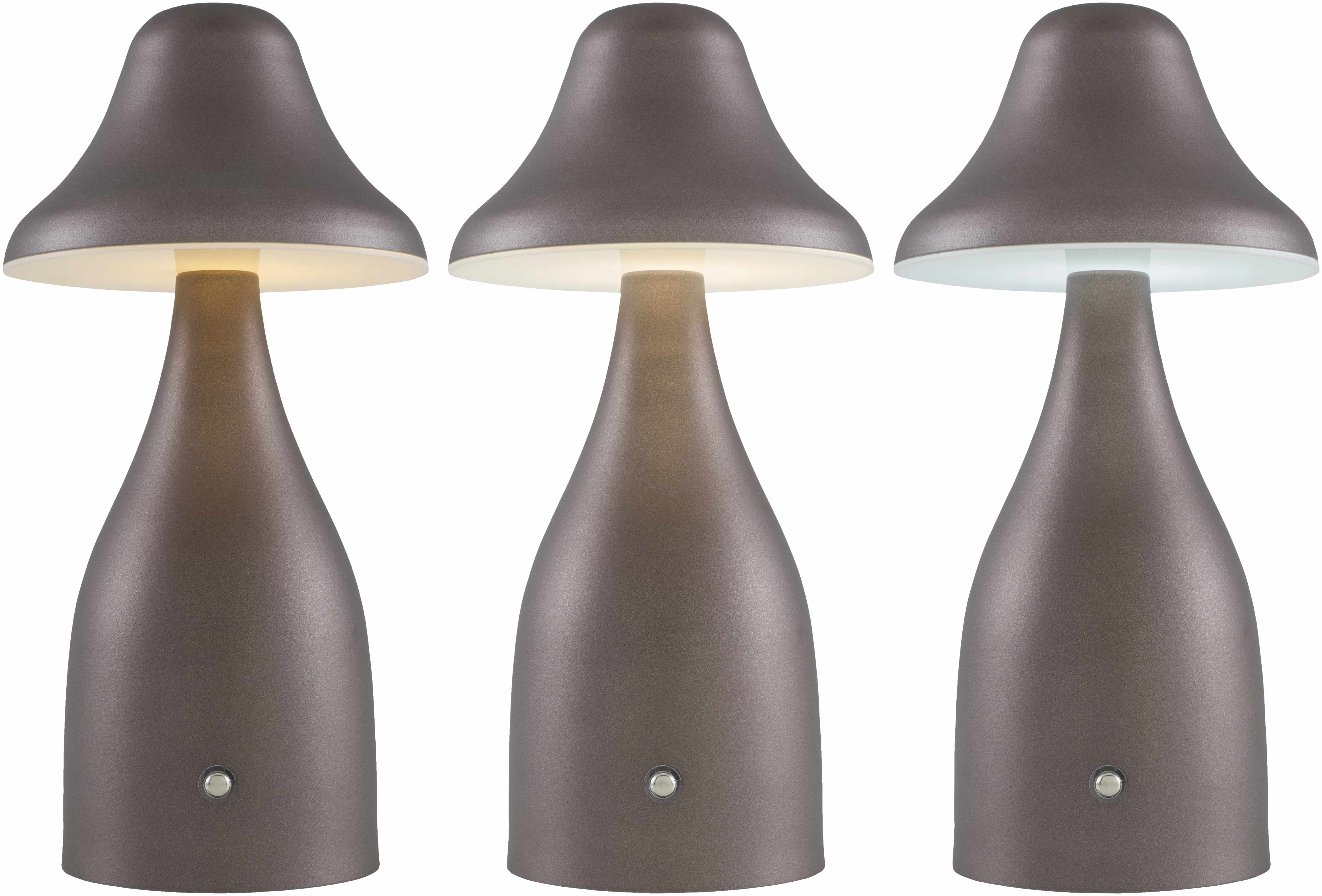 Fronhausen Table Lamp-1