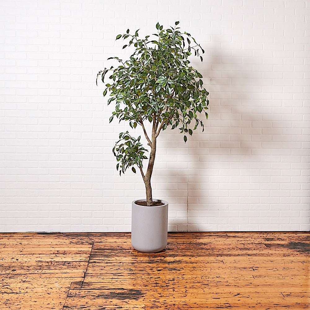 Artificial Ficus Tree with Artisan Planter, 6.5'-3