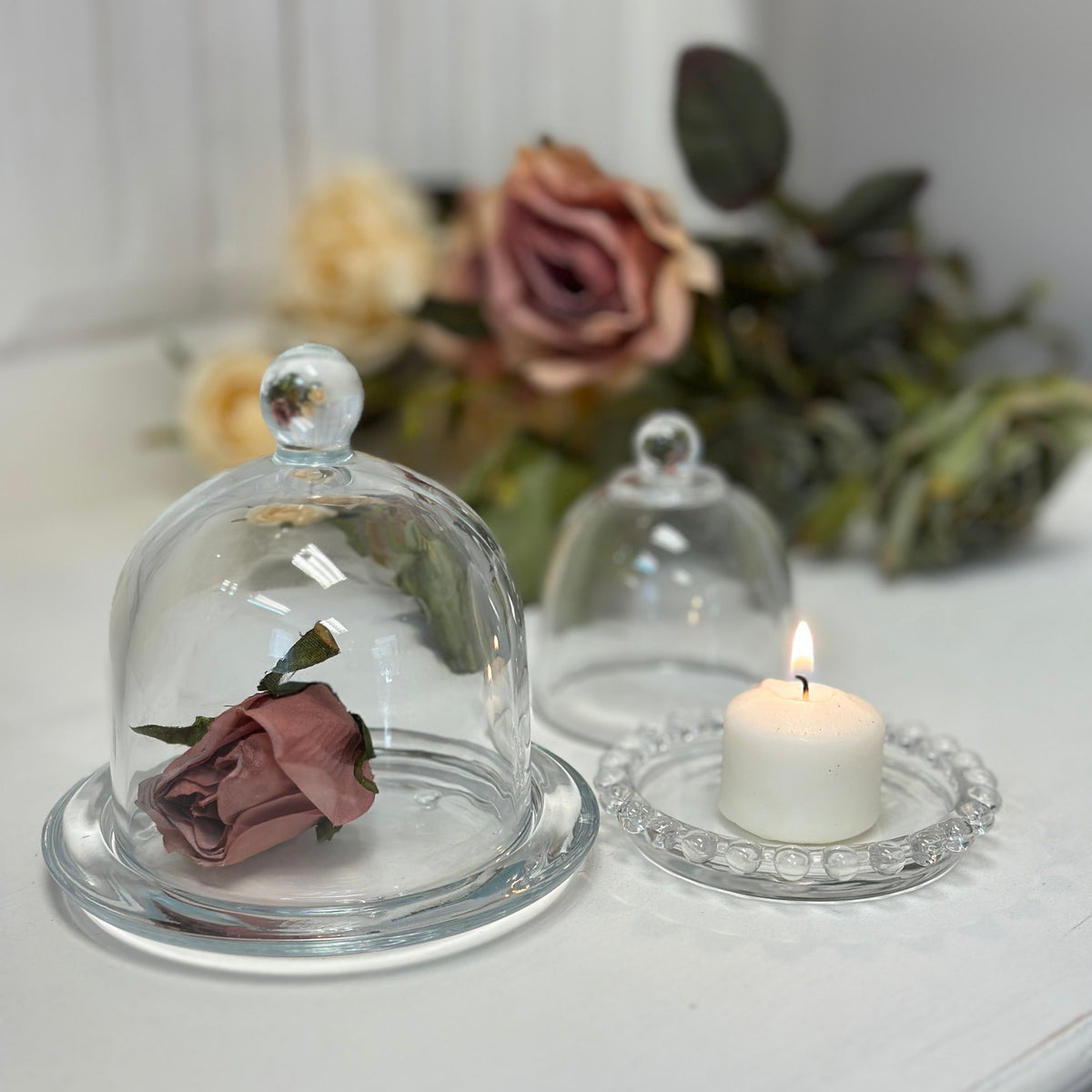 Glass Dome Display Cloche with Base
