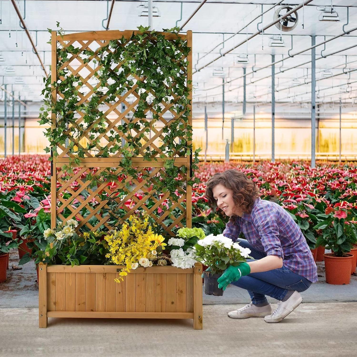 Outdoor Fir Wood Raised Garden Bed Planter Box with 71-inch High Trellis - PRHOMZ