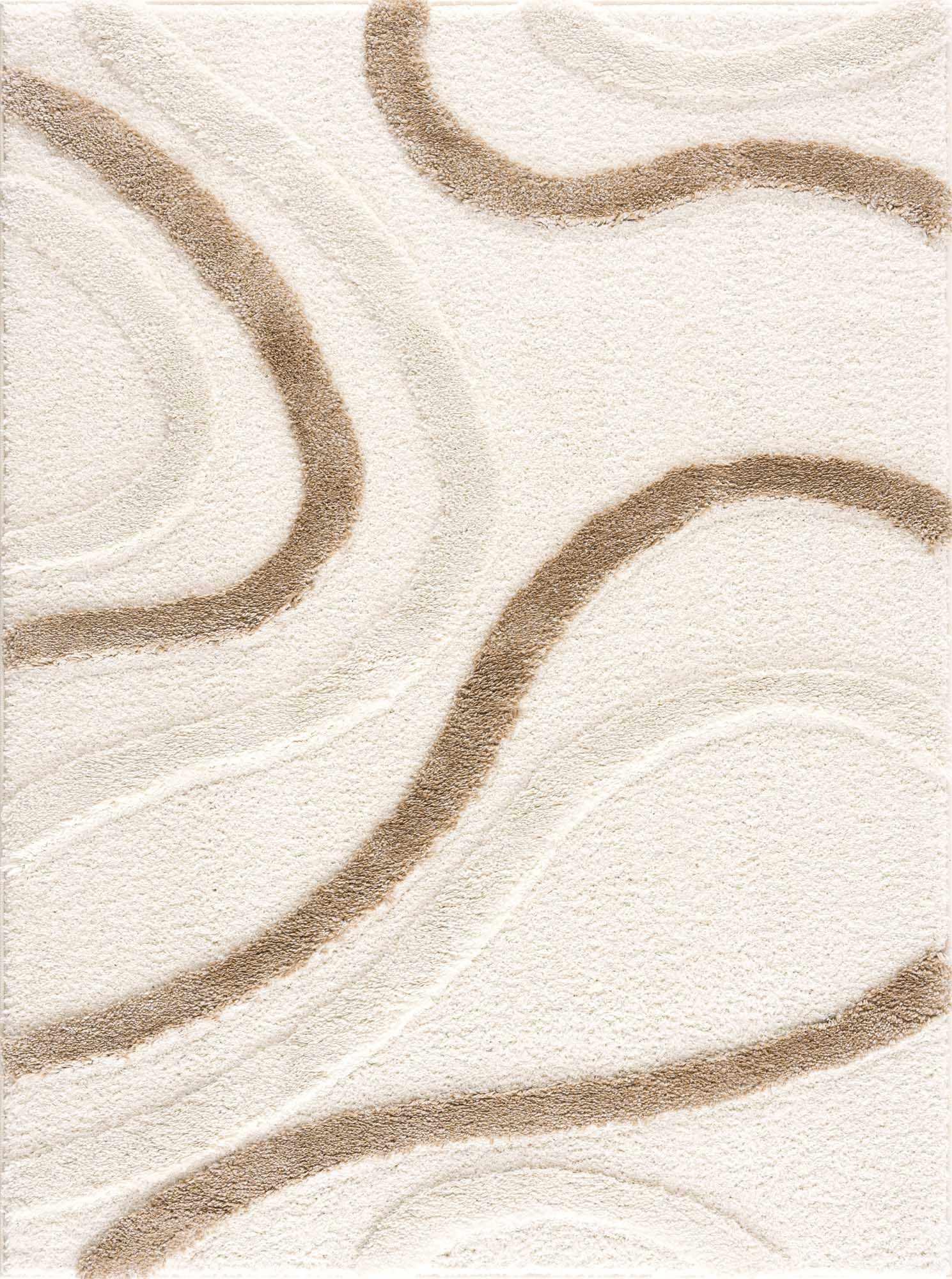 Espiye Modern Shag Area Rug - Limited Edition - PRHOMZ