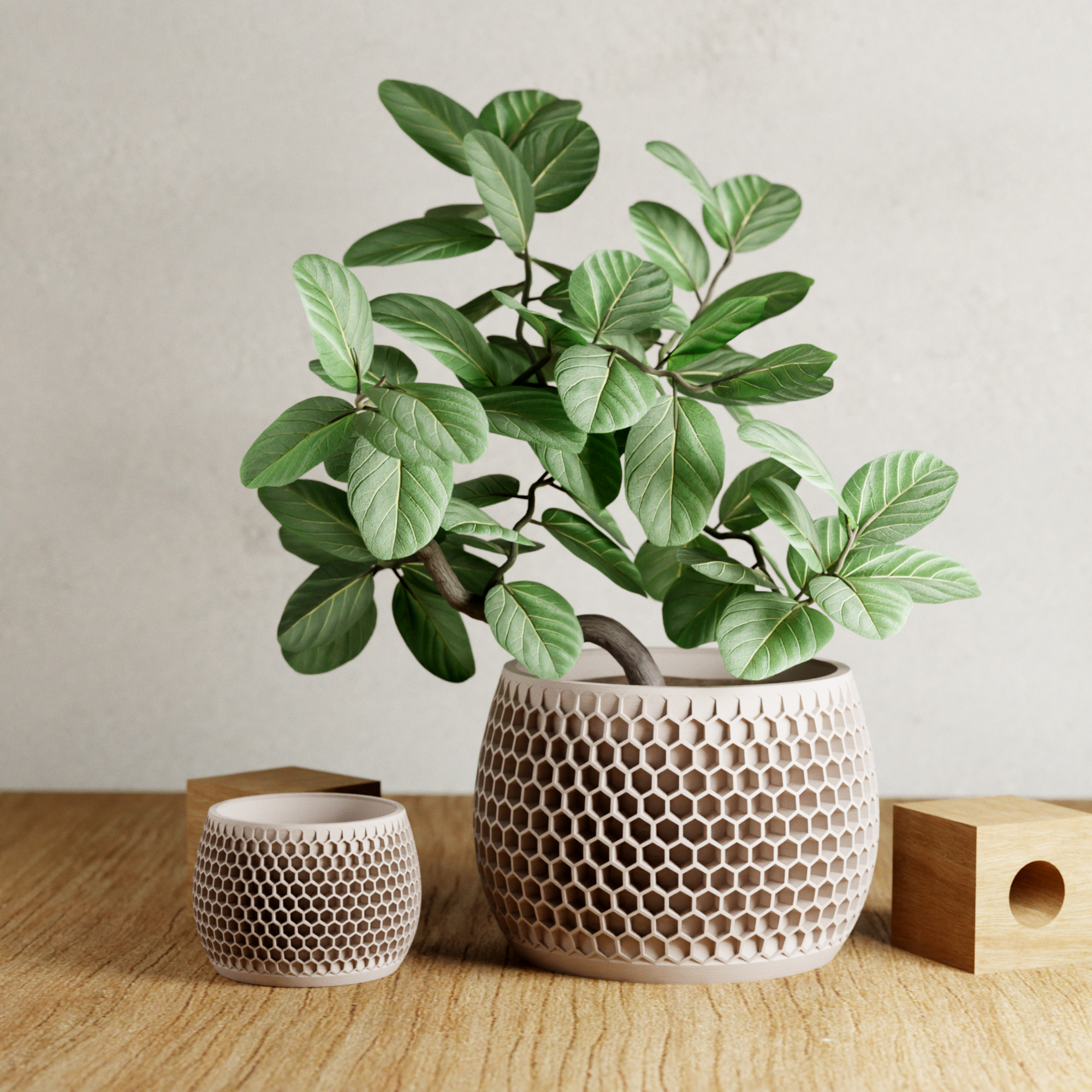 HONEYCOMB Planter-3