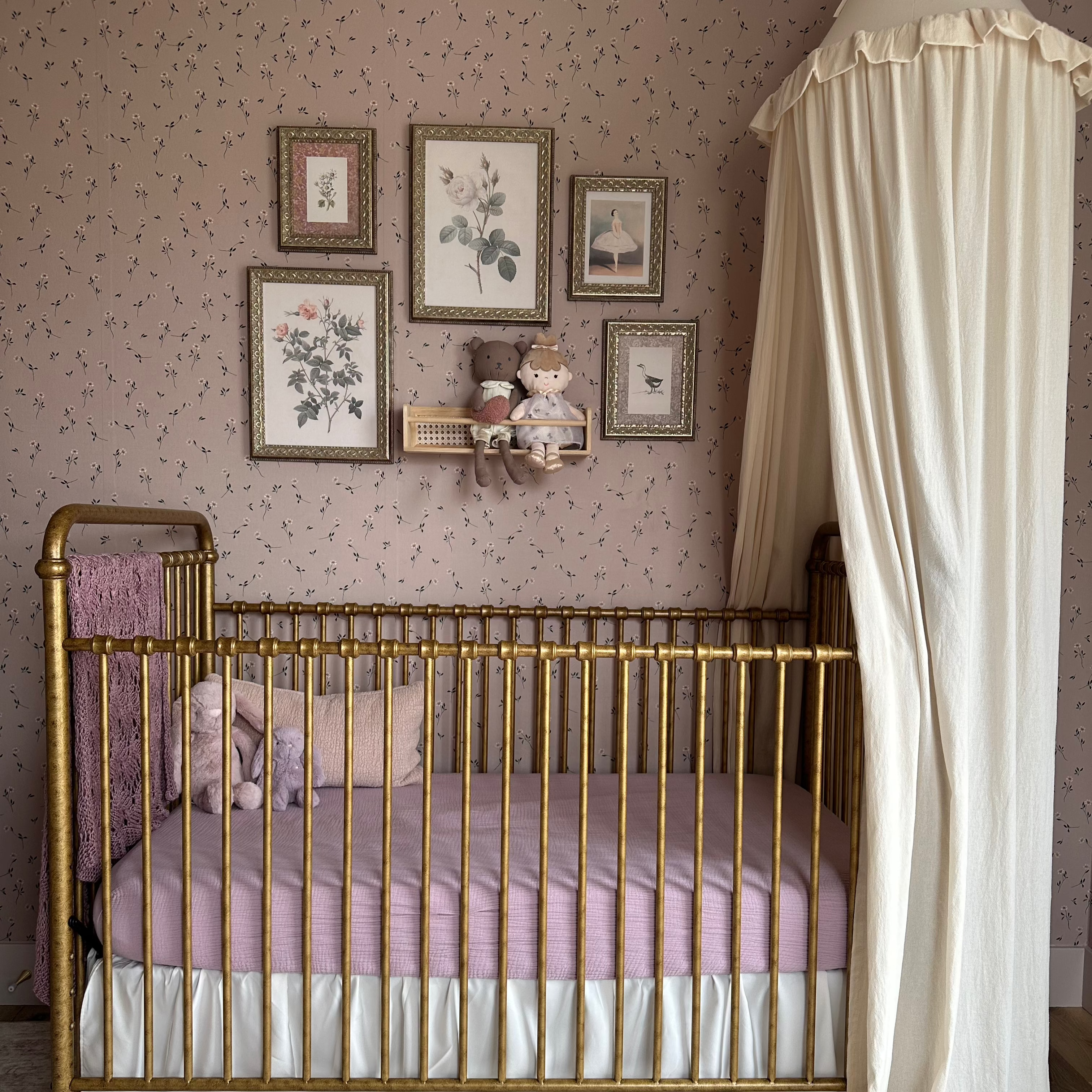 Brigitta Wallpaper by Emily Cooper Art