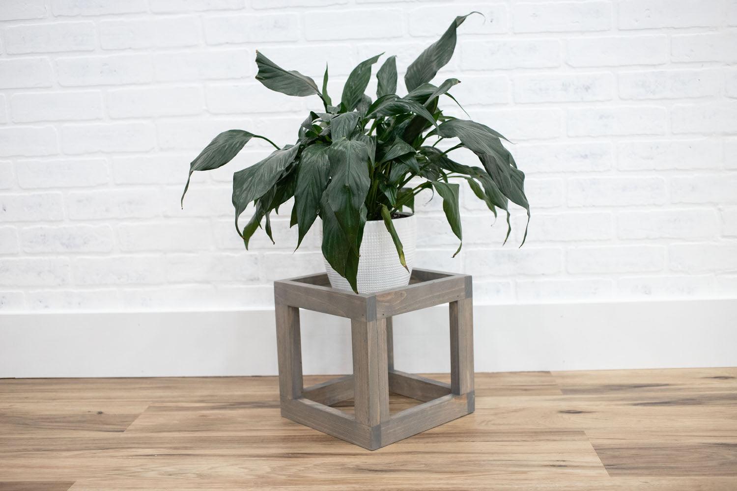Square Plant Stand-4