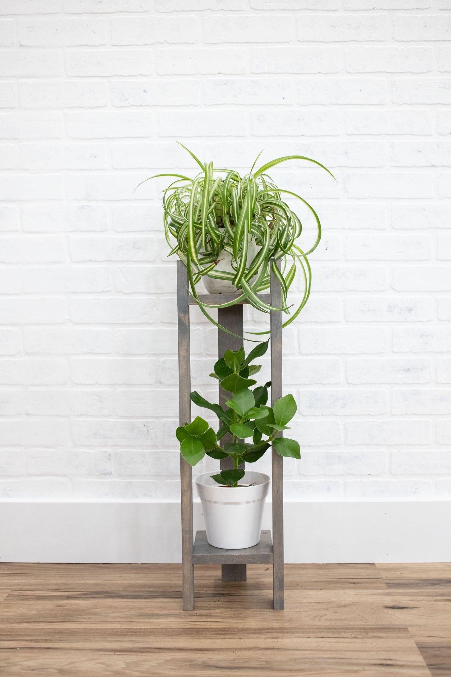 Two Tier Plant Stand-0