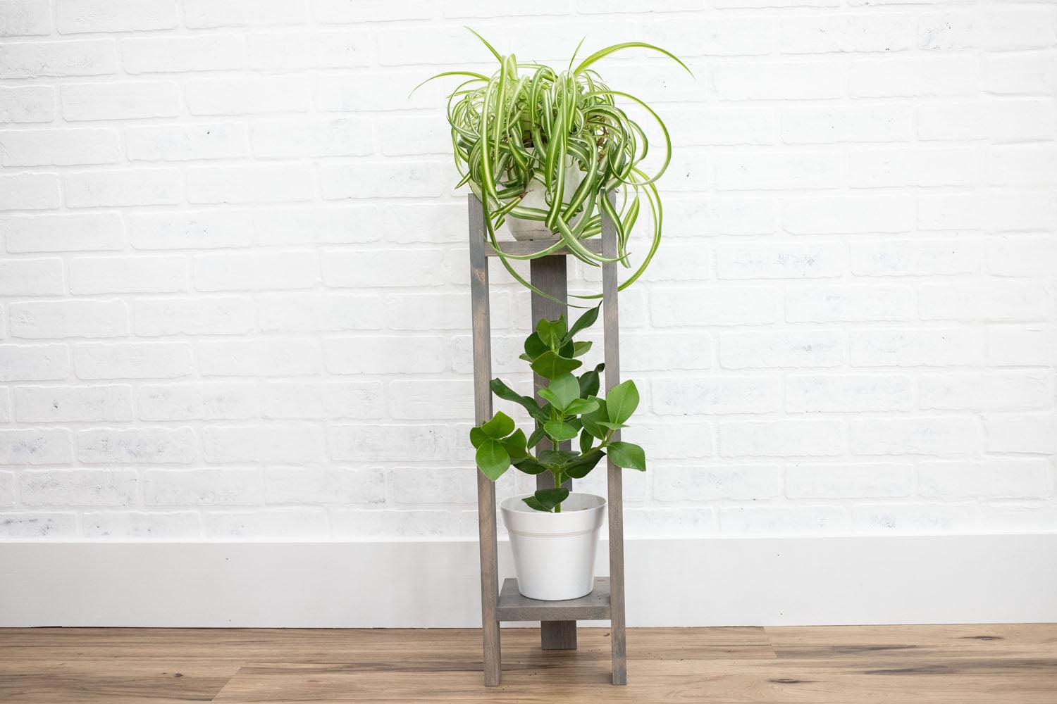 Two Tier Plant Stand-1
