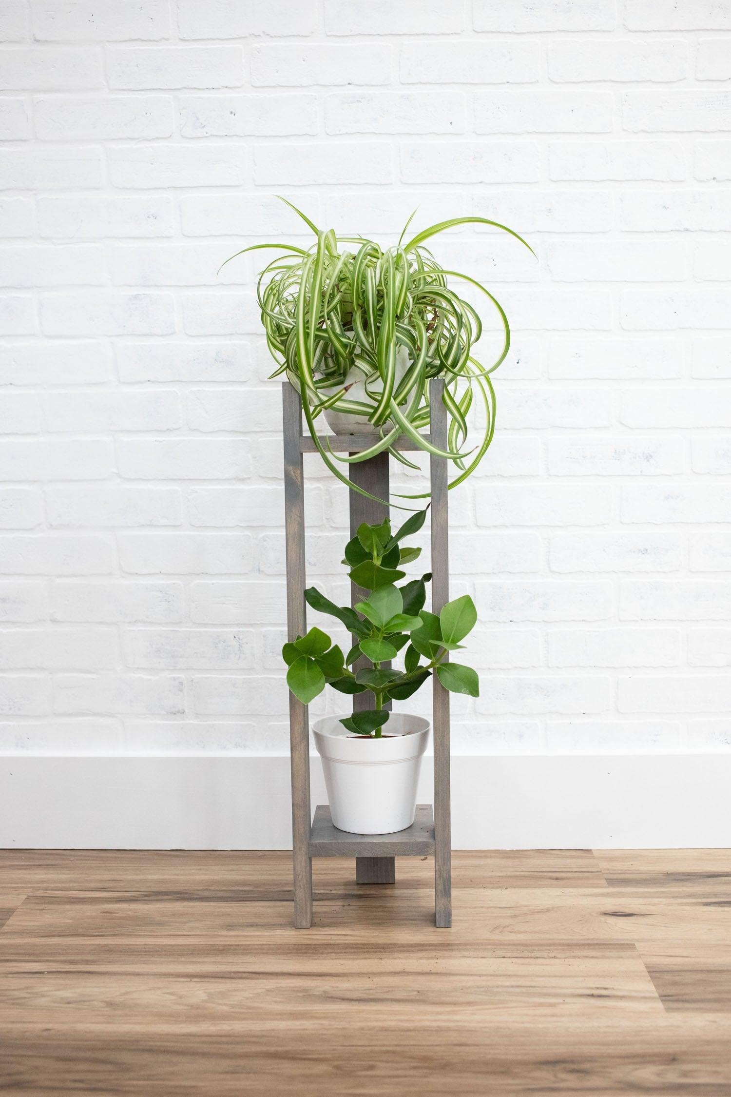 Two Tier Plant Stand-2