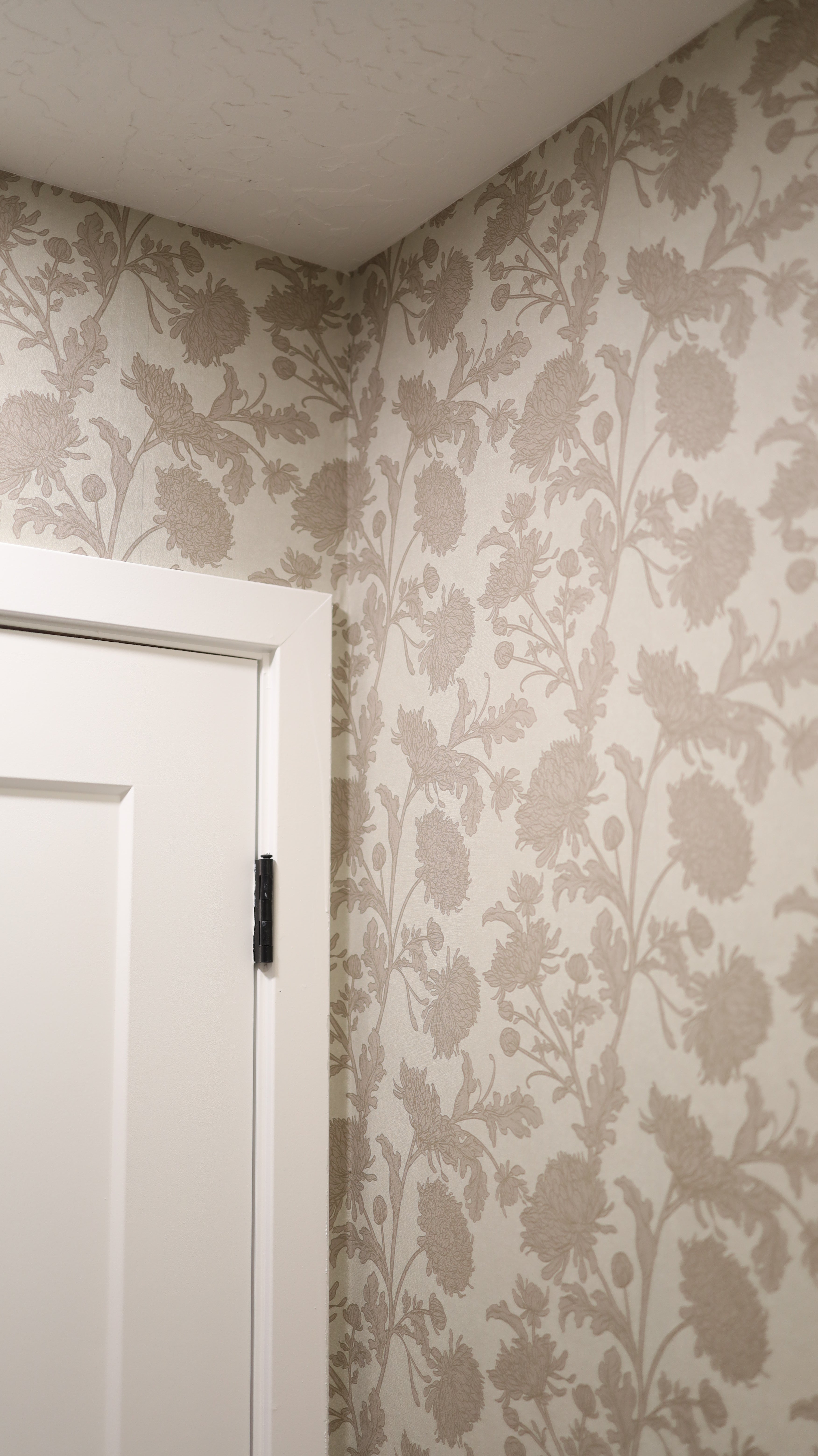 Archie Wallpaper by Taddy Mikelaites