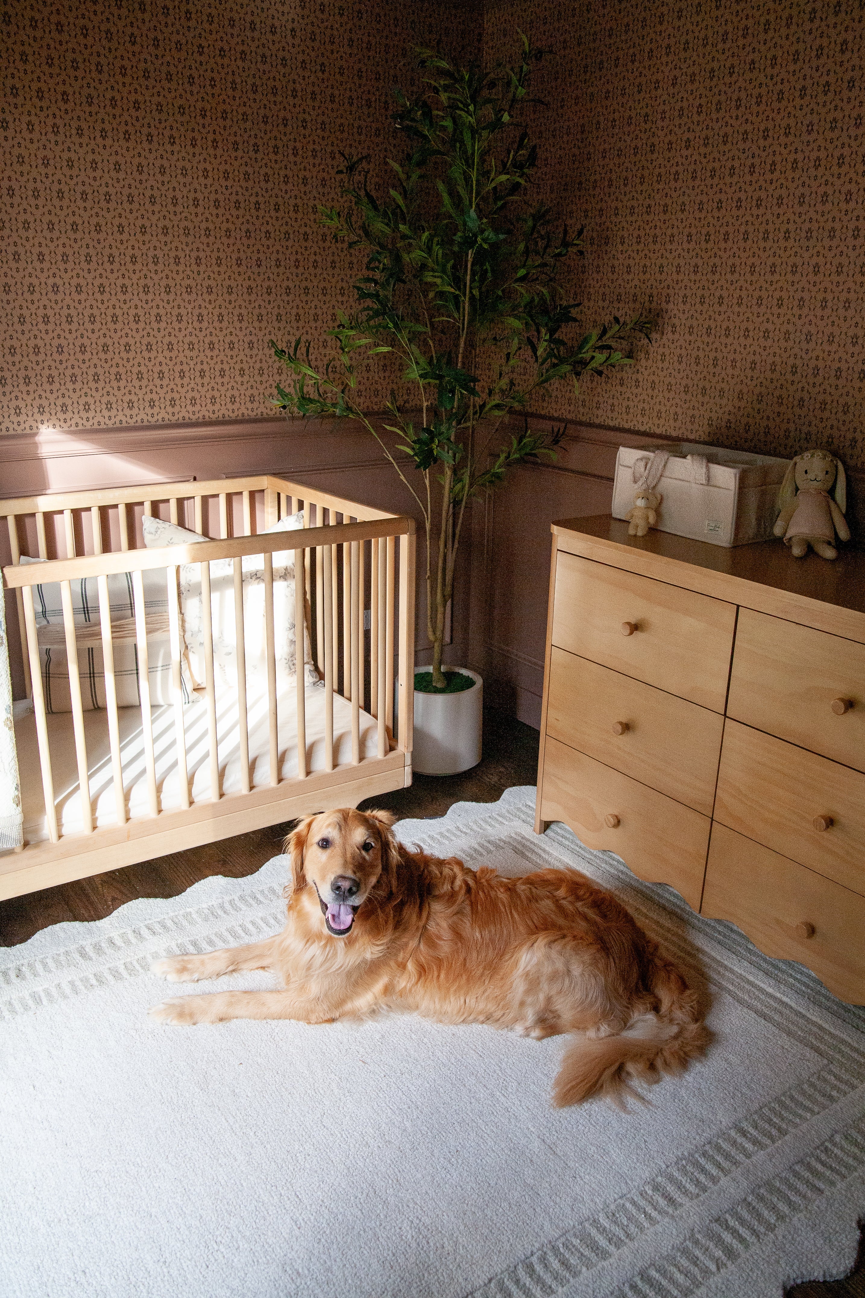 Zara Wallpaper by Thoroughfare Design