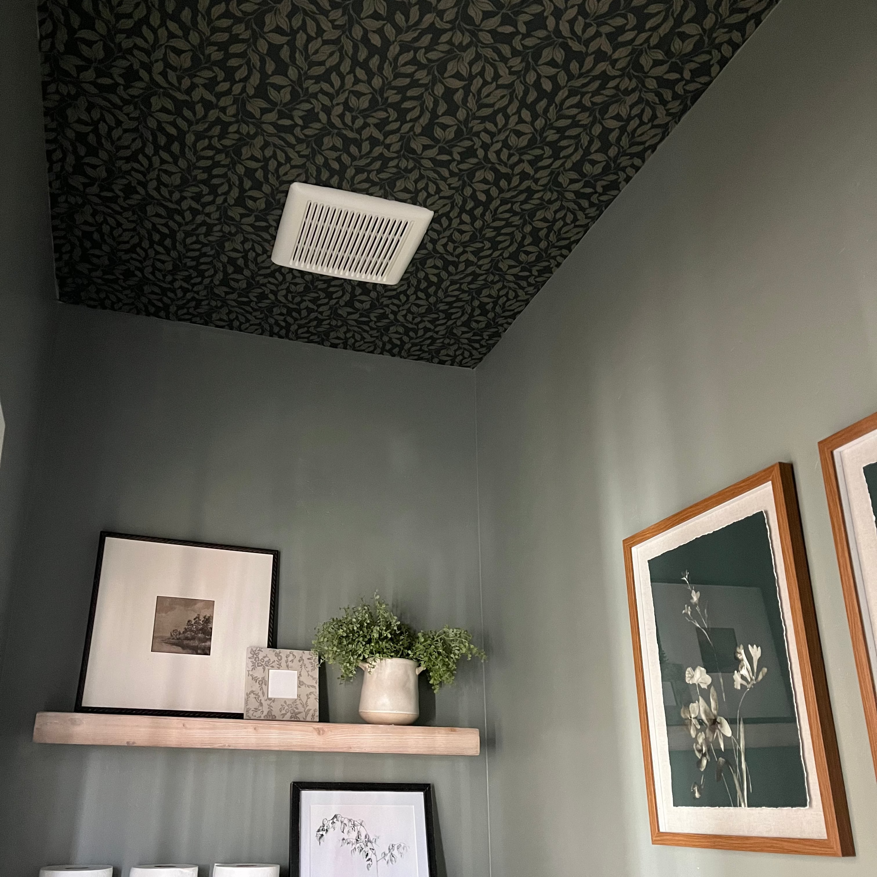 Waylon Wallpaper by The Fibery