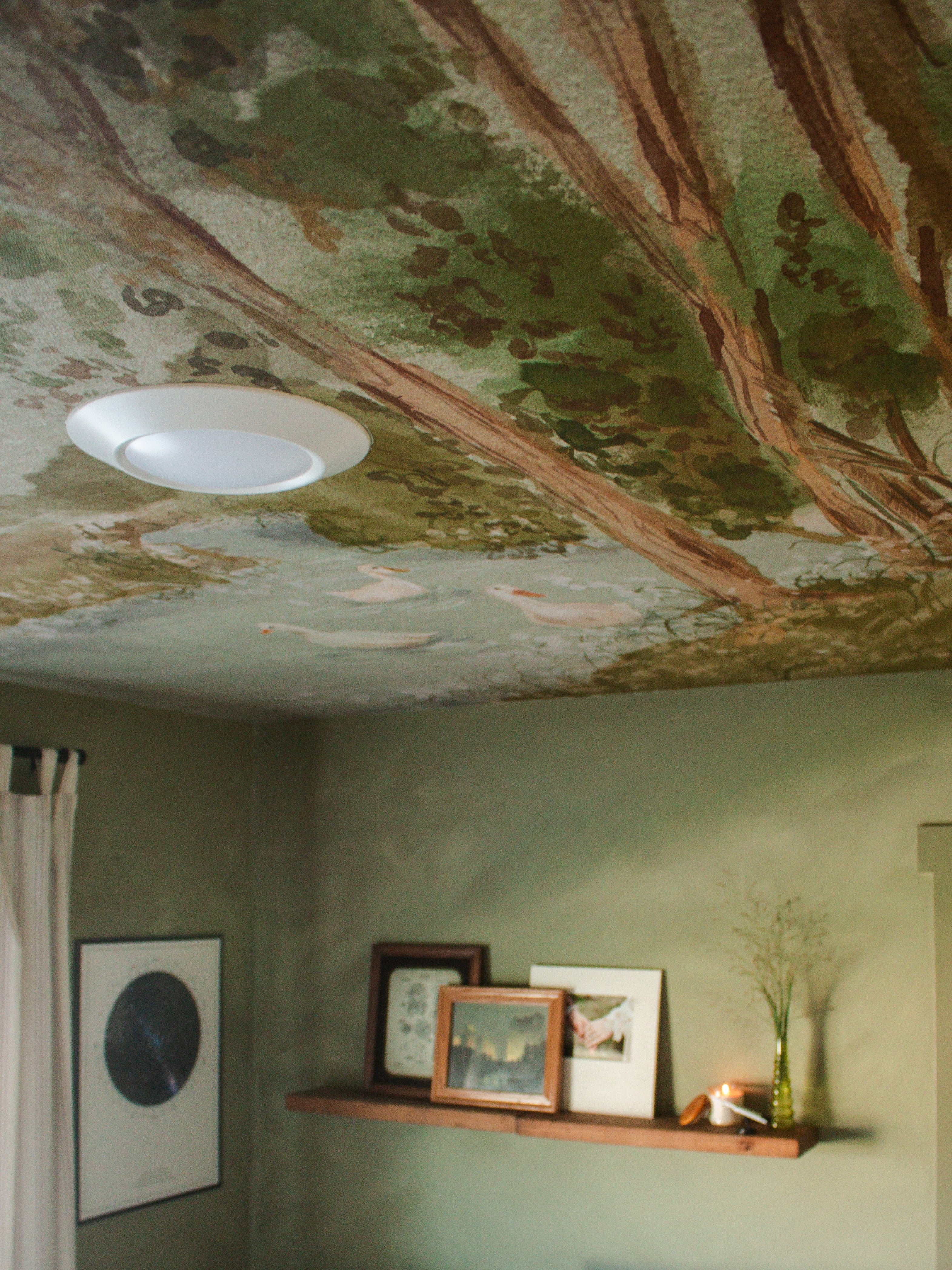 Nils Wallpaper by Celeste Clark