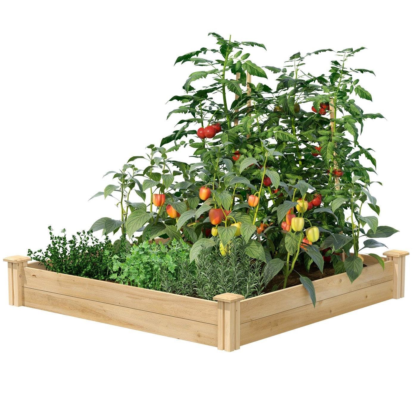 4 ft x 4 ft Cedar Wood Raised Garden Bed - Made in USA - PRHOMZ