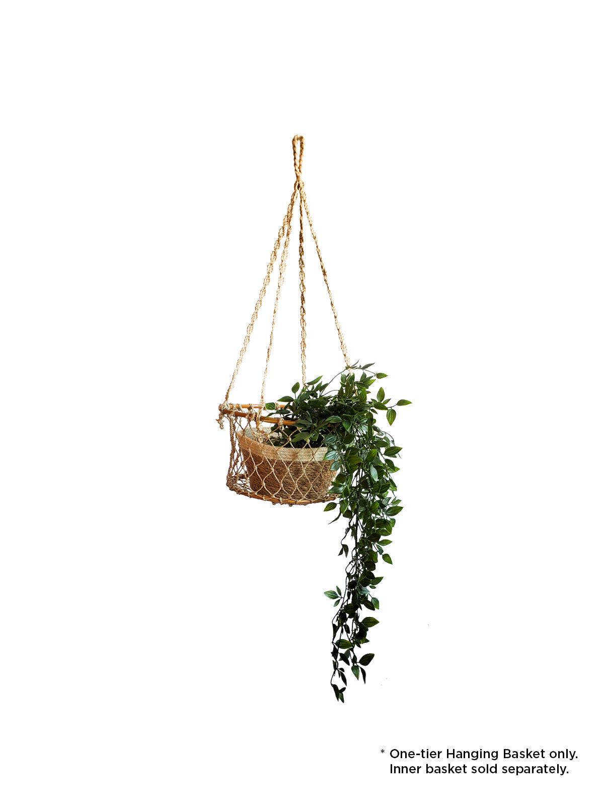 Jhuri Single Hanging Basket - PRHOMZ