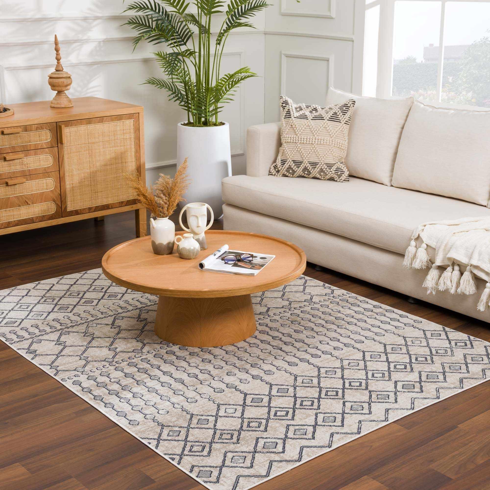 Midstream Washable Area Rug - Clearance - PRHOMZ