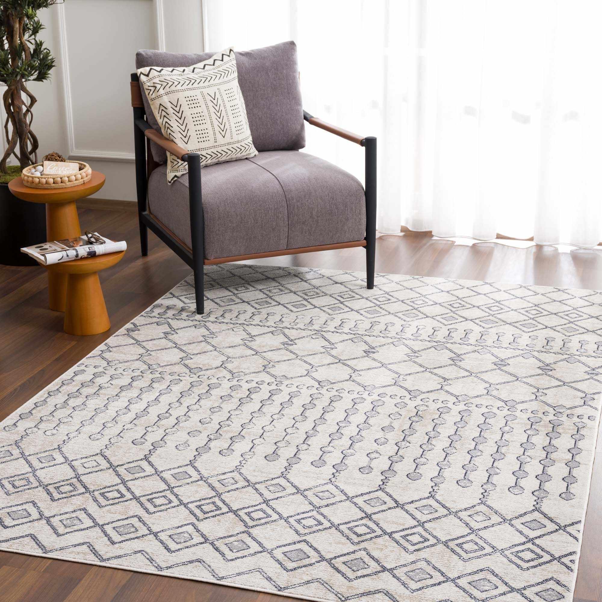 Midstream Washable Area Rug - Clearance - PRHOMZ