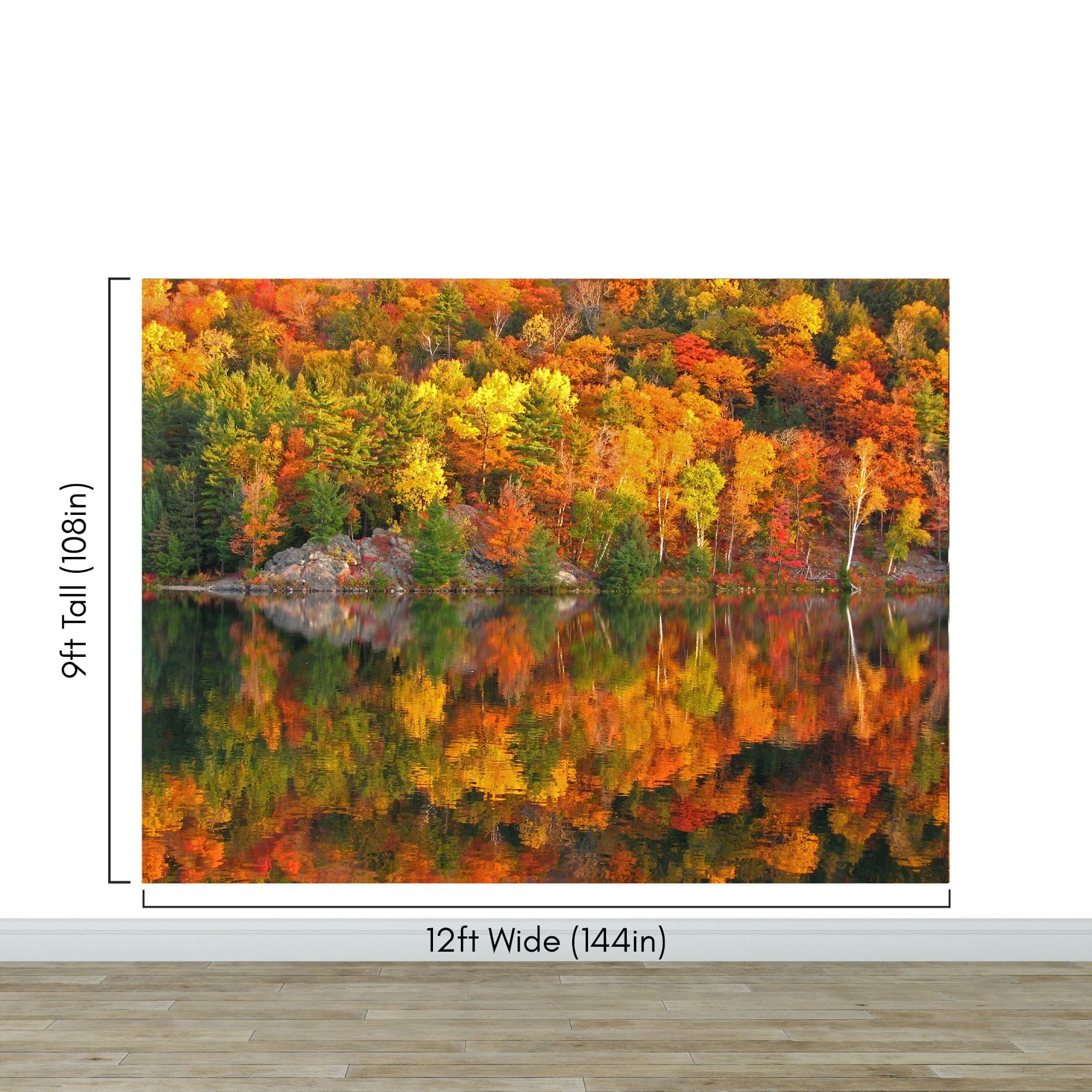 Colorful Autumn Forest Over Lake Wall Mural. Fall Foliage. #7052