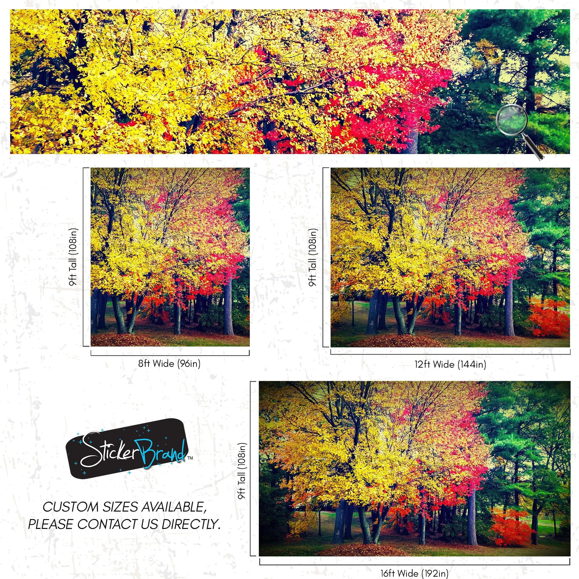 Colorful Autumn Trees Wallpaper Mural. #6981