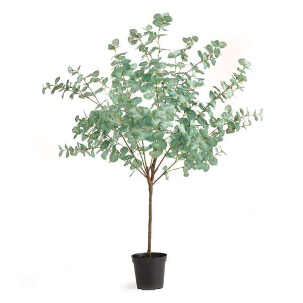 Eucalyptus Tree Drop-In 49"-0