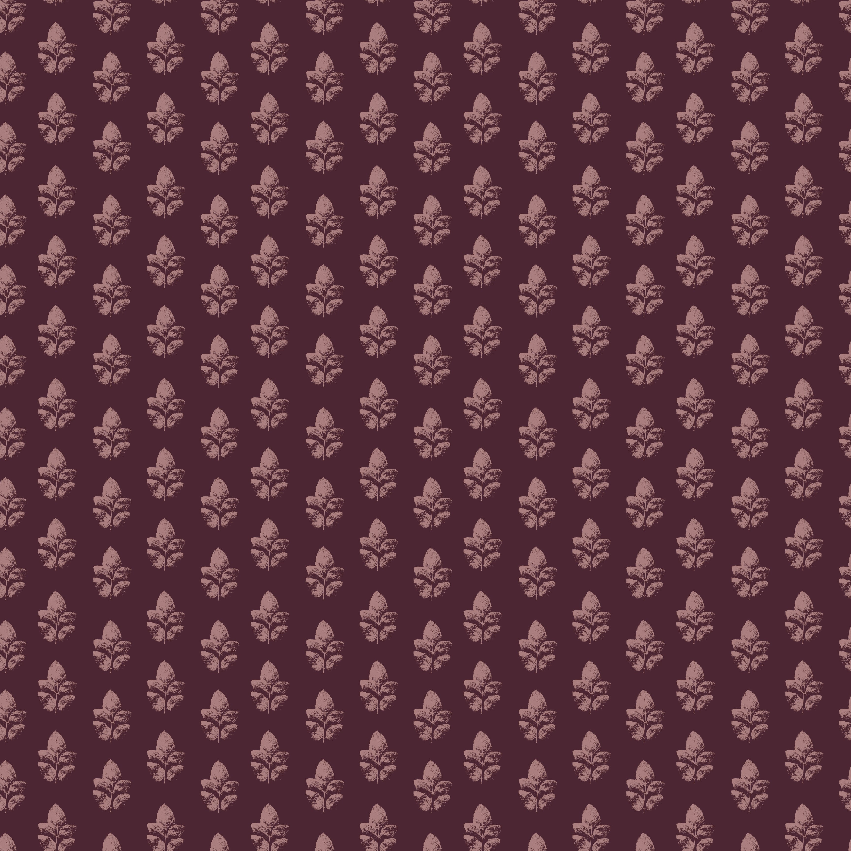 Neve Wallpaper by Ana Goldar Design