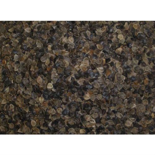 Japanese size 14 x 20 inch Organic Buckwheat Pillow - PRHOMZ