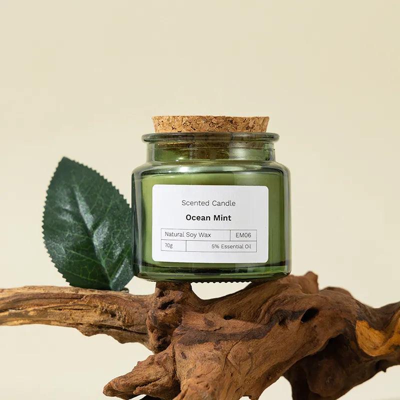 Handmade 2.5oz Scented Soy Wax Candle - PRHOMZ