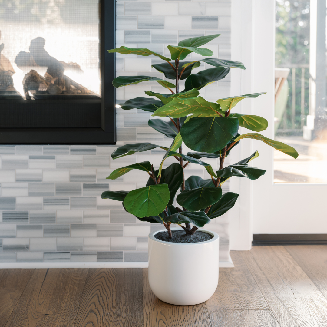 Faux Potted Fiddle Leaf Fig Tree, 3ft-1