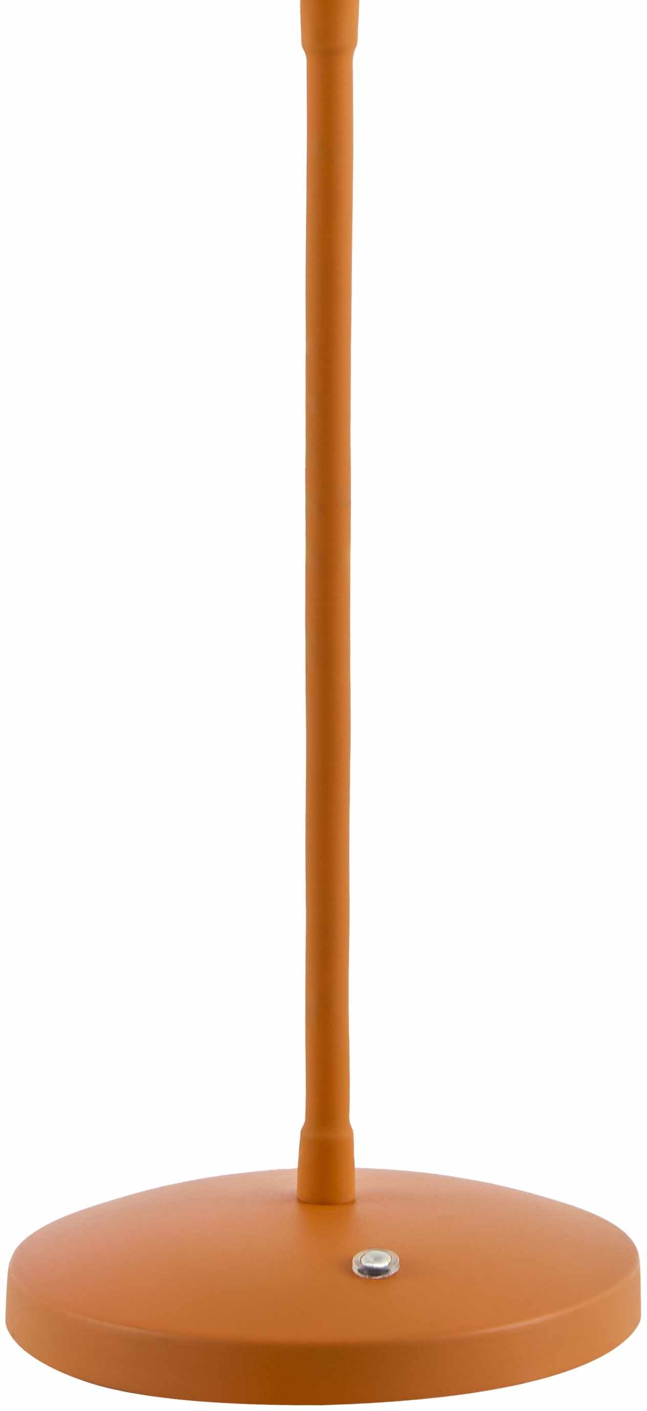 Pachiquita Table Lamp-1