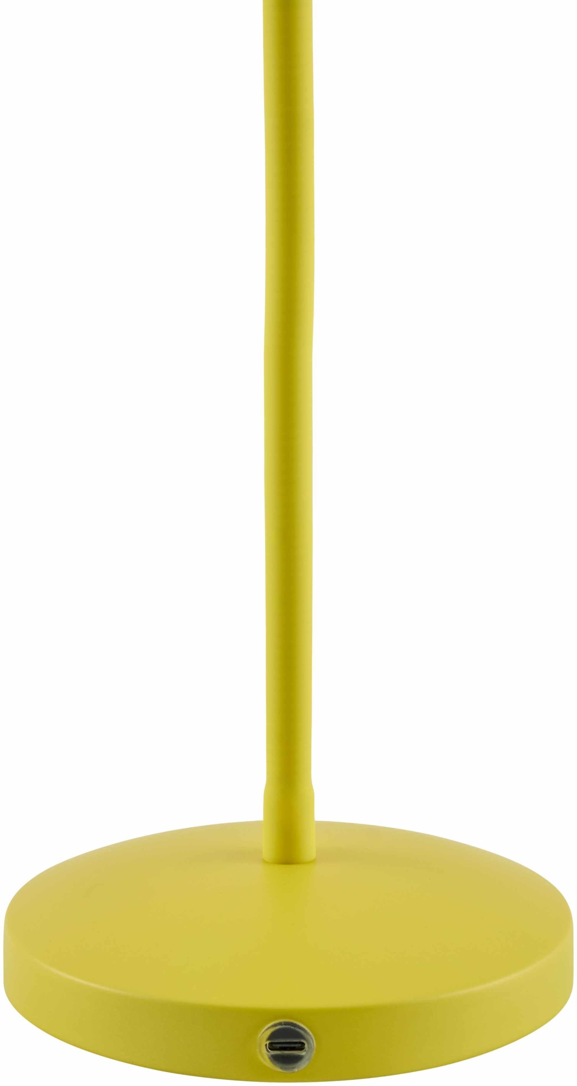 Pachiquita Table Lamp - PRHOMZ