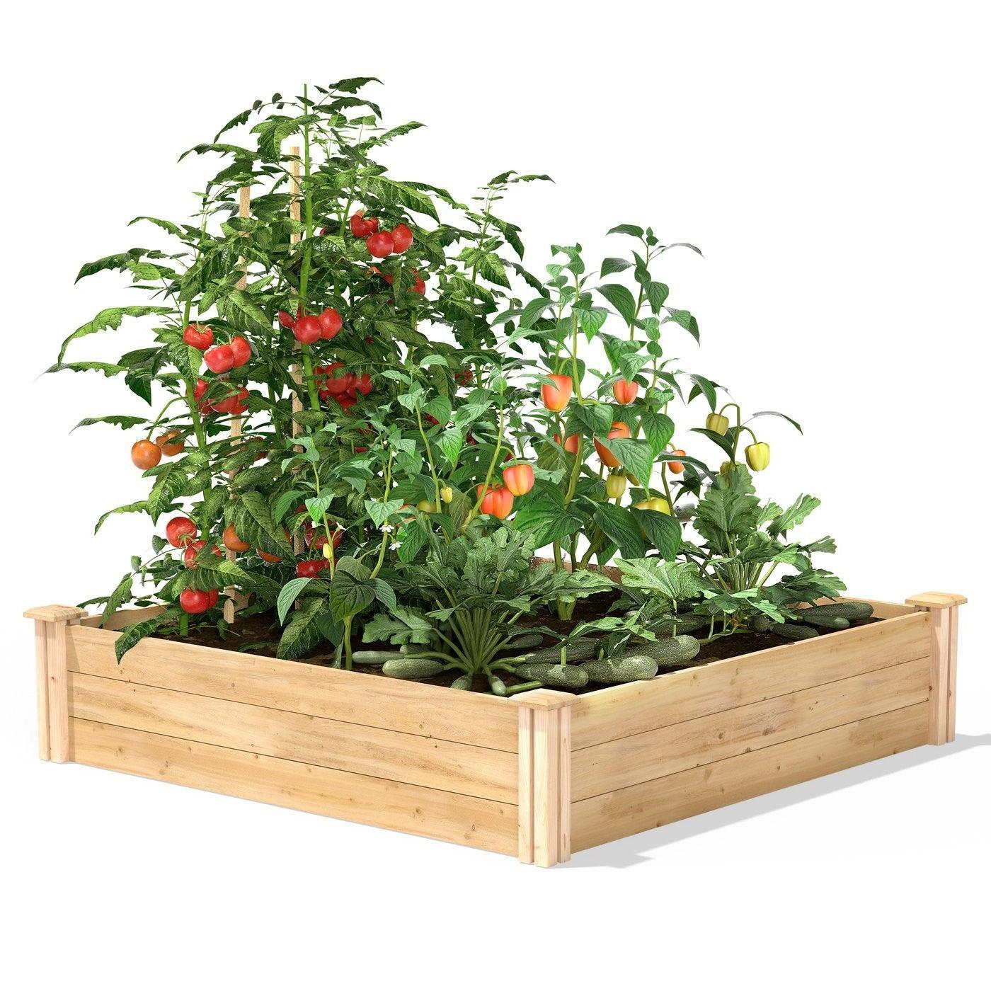 4ft x 4ft Outdoor Pine Wood Raised Garden Bed Planter Box - Made in USA - PRHOMZ