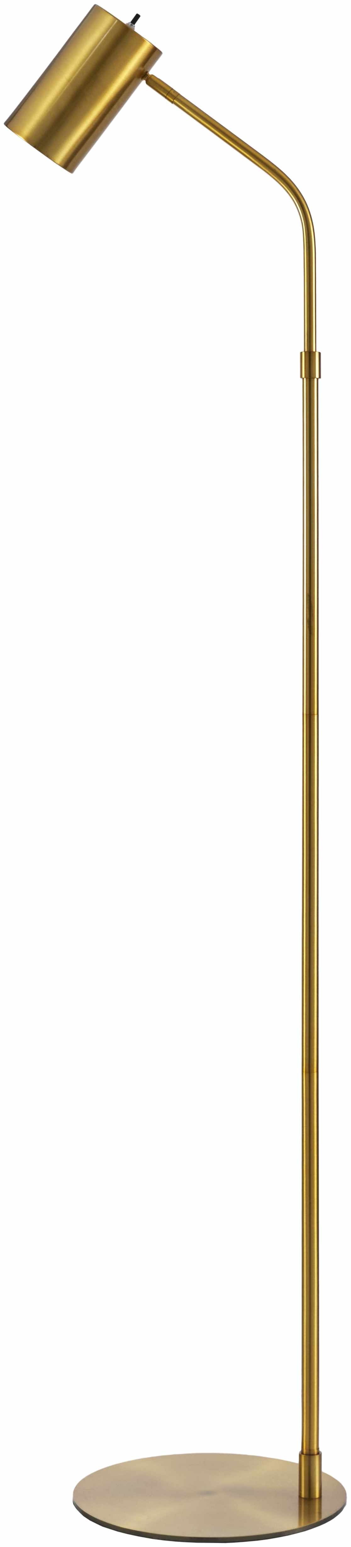 Pielavesi Gold Brass Floor Lamp-0