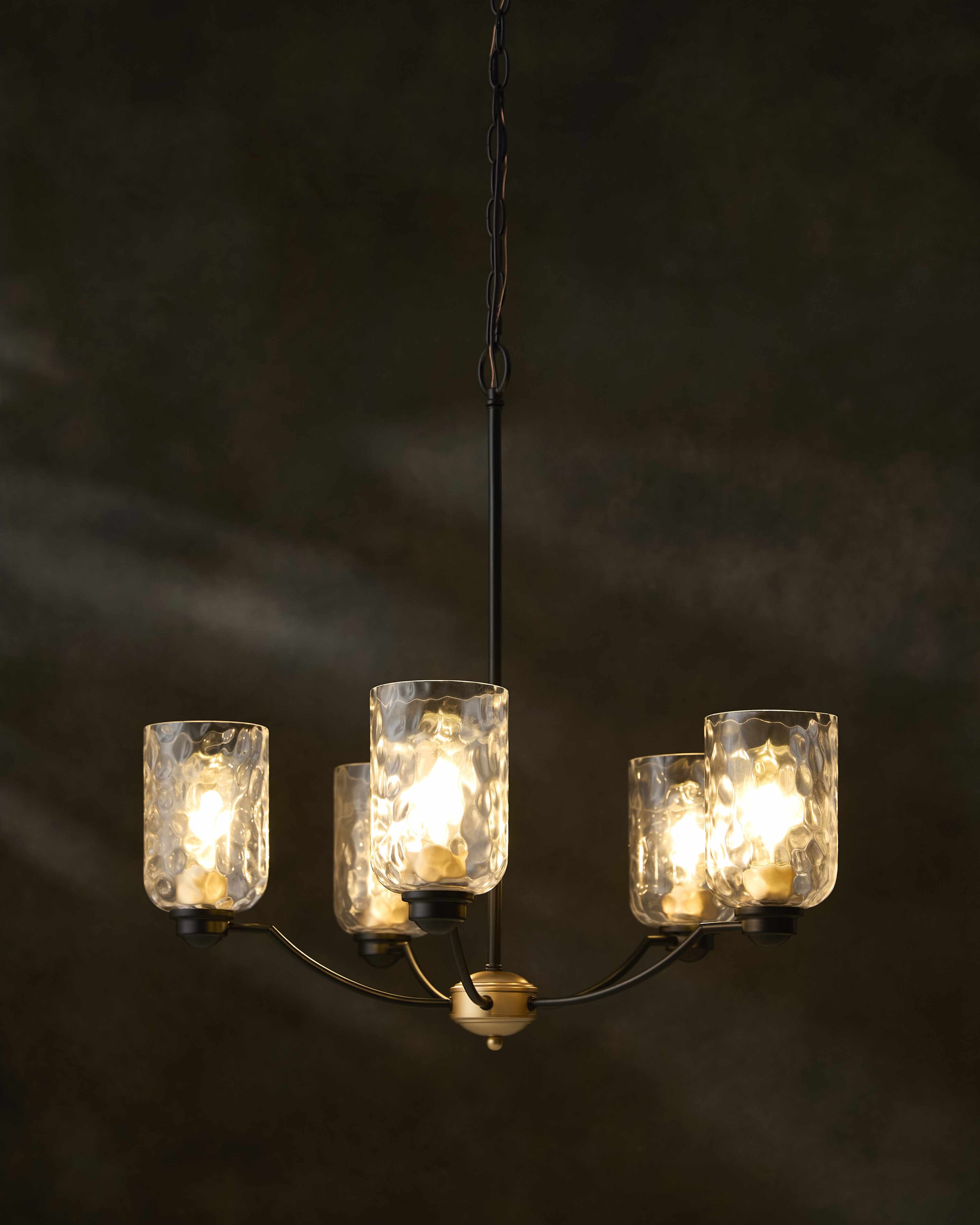 Paprotnia Chandelier-1