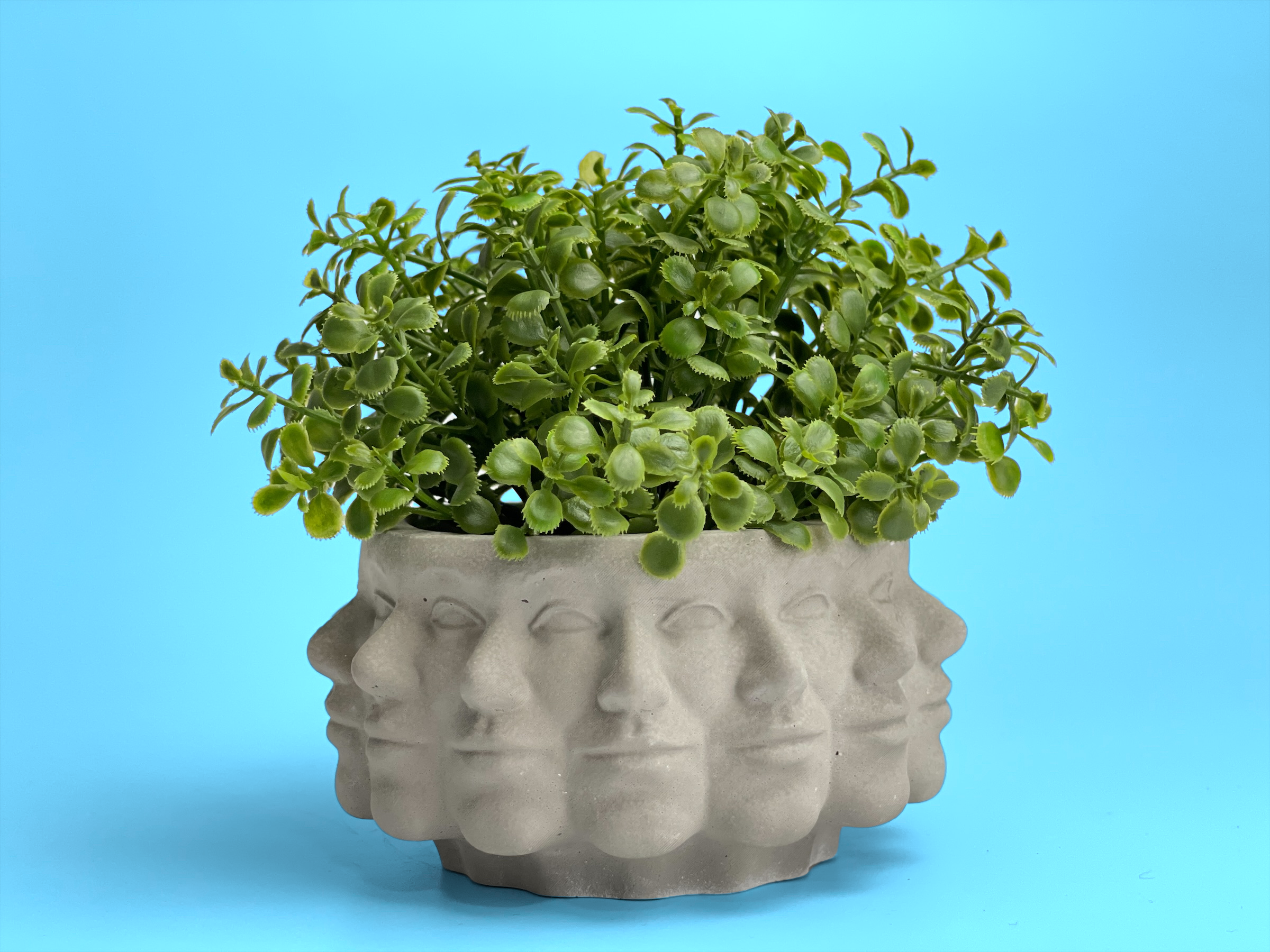 Multi Face Succulent Planter