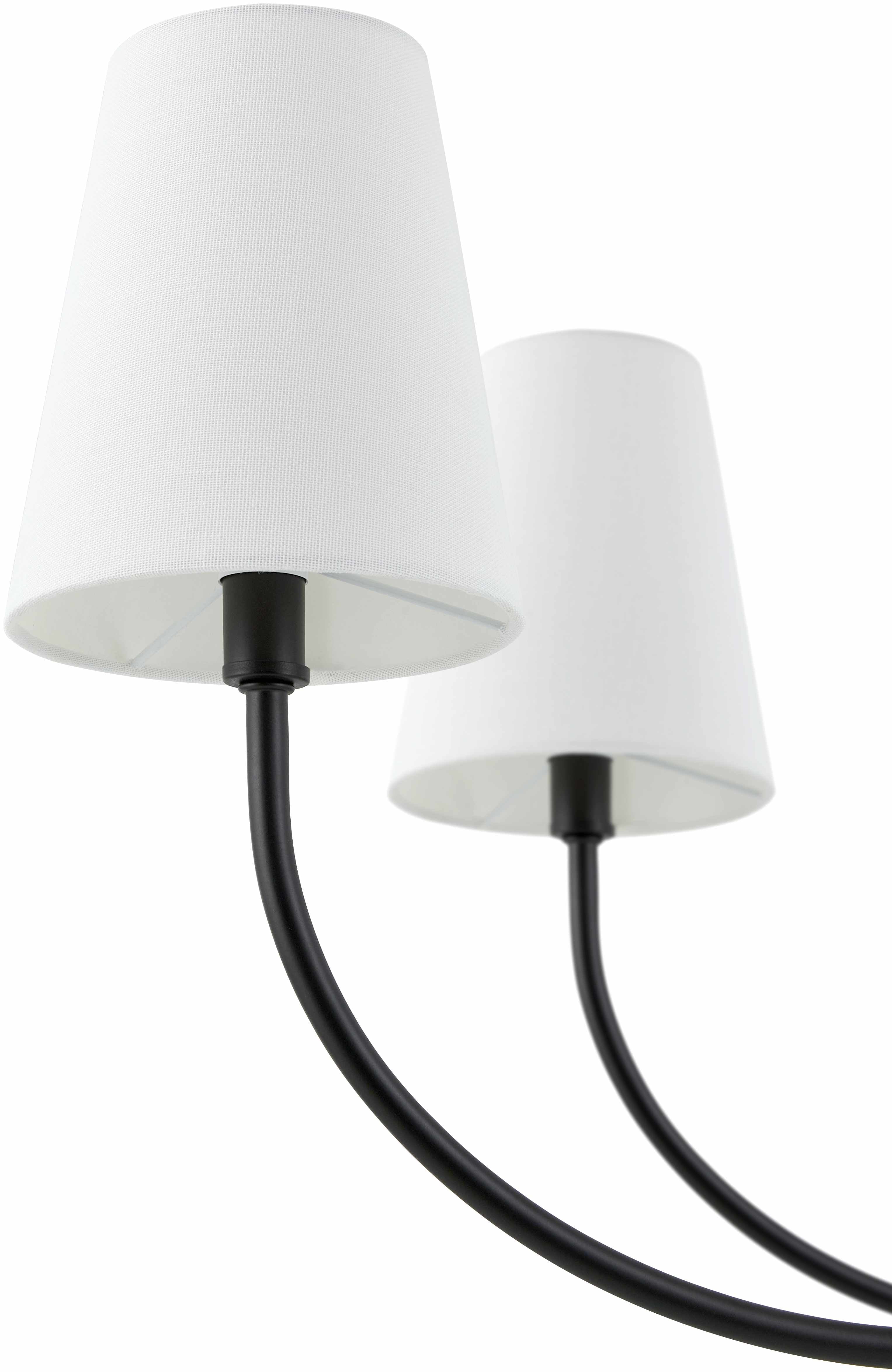 Eilenburg Chandelier-4