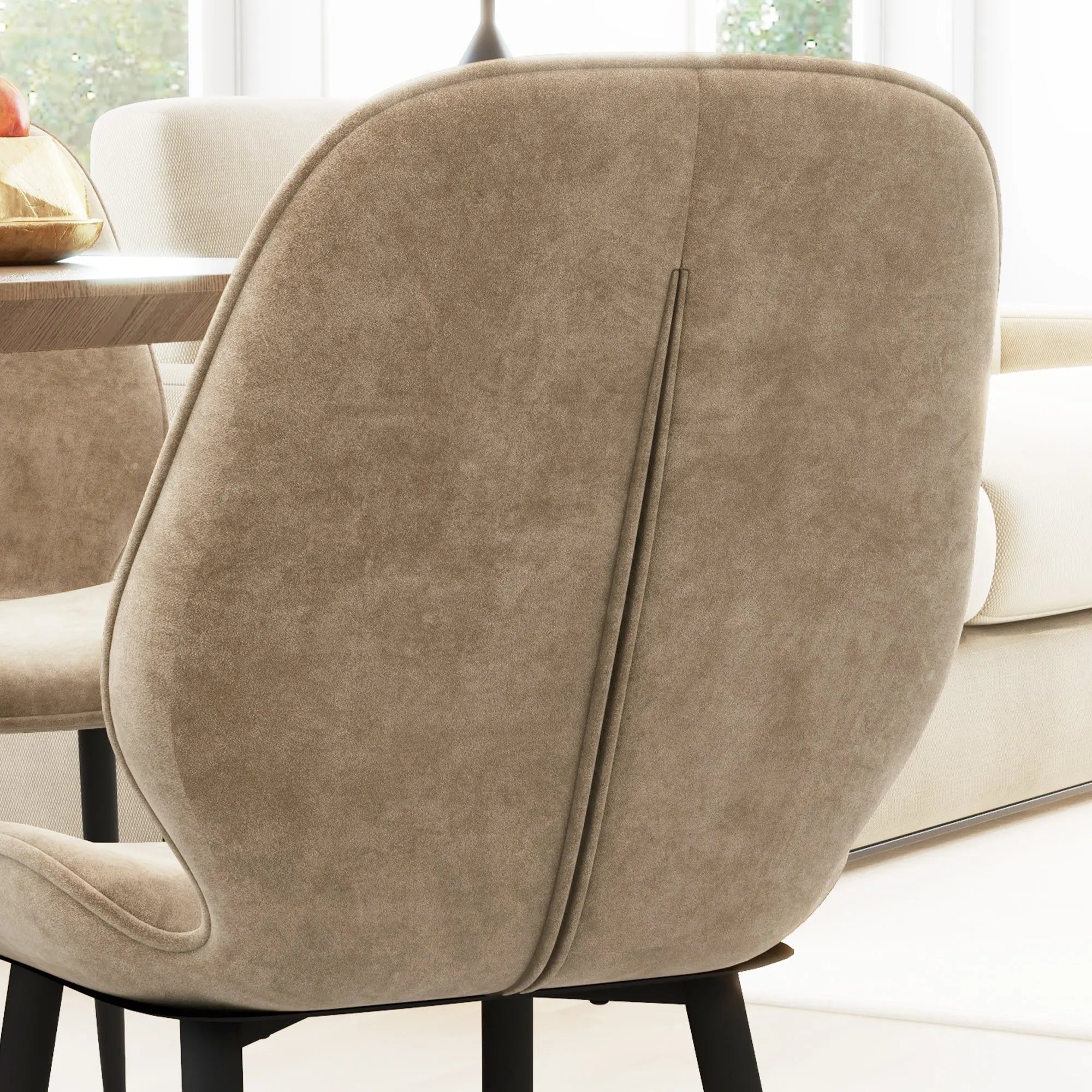 Ray Velvet Dining Room Chair (Set of 2)