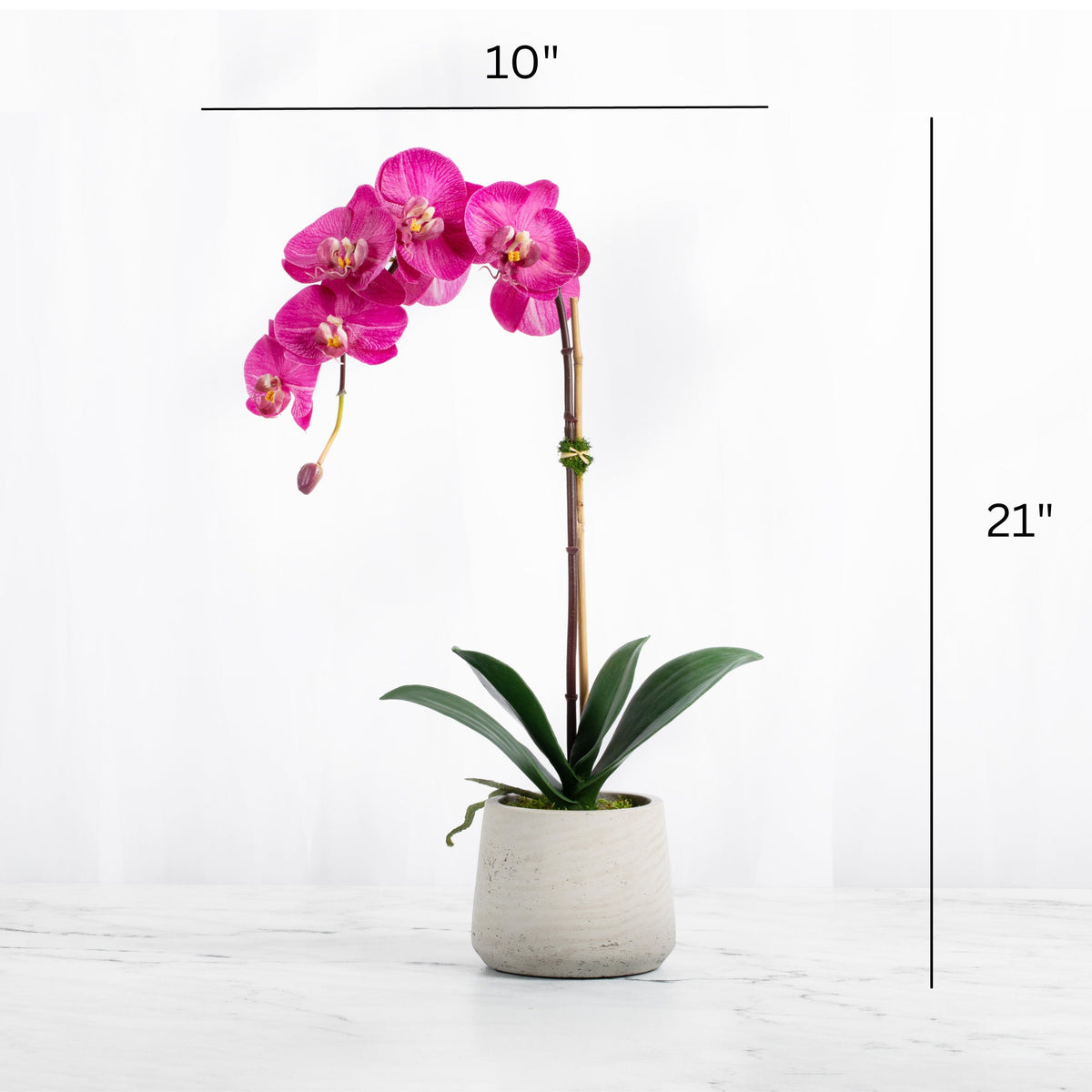 Real Touch Pink Phalaenopsis Orchid Plant - 21"
